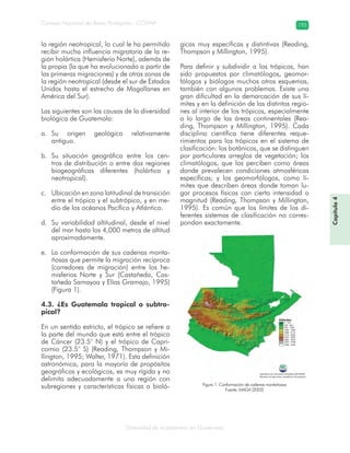 Diversidad de ecosistemas en Guatemala
Consejo Nacional de Áreas Protegidas –CONAP– 195
Capítulo4
Figura 1. Conformación de cadenas montañosas
Fuente: MAGA (2002)
la región neotropical, lo cual le ha permitido
recibir mucha influencia migratoria de la re-
gión holártica (Hemisferio Norte), además de
la propia (la que ha evolucionado a partir de
las primeras migraciones) y de otras zonas de
la región neotropical (desde el sur de Estados
Unidos hasta el estrecho de Magallanes en
América del Sur).
Las siguientes son las causas de la diversidad
biológica de Guatemala:
Su origen geológico relativamentea.
antiguo.
Su situación geográfica entre los cen-b.
tros de distribución o entre dos regiones
biogeográficas diferentes (holártica y
neotropical).
Ubicación en zona latitudinal de transiciónc.
entre el trópico y el subtrópico, y en me-
dio de los océanos Pacífico y Atlántico.
Su variabilidad altitudinal, desde el niveld.
del mar hasta los 4,000 metros de altitud
aproximadamente.
La conformación de sus cadenas monta-e.
ñosas que permite la migración recíproca
(corredores de migración) entre los he-
misferios Norte y Sur (Castañeda, Cas-
tañeda Samayoa y Elías Gramajo, 1995)
(Figura 1).
4.3. ¿Es Guatemala tropical o subtro-
pical?
En un sentido estricto, el trópico se refiere a
la parte del mundo que está entre el trópico
de Cáncer (23.5° N) y el trópico de Capri-
cornio (23.5° S) (Reading, Thompson y Mi-
llington, 1995; Walter, 1971). Esta definición
astronómica, para la mayoría de propósitos
geográficos y ecológicos, es muy rígida y no
delimita adecuadamente a una región con
subregiones y características físicas o bioló-
gicas muy específicas y distintivas (Reading,
Thompson y Millington, 1995).
Para definir y subdividir a los trópicos, han
sido propuestos por climatólogos, geomor-
fólogos y biólogos muchos otros esquemas,
también con algunos problemas. Existe una
gran dificultad en la demarcación de sus lí-
mites y en la definición de las distintas regio-
nes al interior de los trópicos, especialmente
a lo largo de las áreas continentales (Rea-
ding, Thompson y Millington, 1995). Cada
disciplina científica tiene diferentes reque-
rimientos para los trópicos en el sistema de
clasificación: los botánicos, que se distinguen
por particulares arreglos de vegetación; los
climatólogos, que los perciben como áreas
donde prevalecen condiciones atmosféricas
específicas; y los geomorfólogos, como lí-
mites que describen áreas donde toman lu-
gar procesos físicos con cierta intensidad o
magnitud (Reading, Thompson y Millington,
1995). Es común que los límites de los di-
ferentes sistemas de clasificación no corres-
pondan exactamente.
 