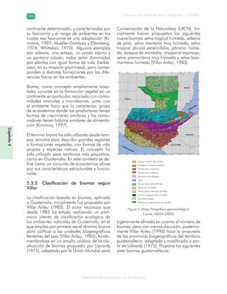 Diversidad de ecosistemas en Guatemala
Consejo Nacional de Áreas Protegidas –CONAP–200200
Capítulo4
continente determinado, y caracterizadas por
su fisonomía y el rango de ambientes en los
cuales esa fisonomía es una adaptación (Ki-
mmins, 1997; Mueller-Dombois y Ellemberg,
1974; Whittaker, 1970). Algunos ejemplos
son sabana, una estepa, un prado alpino y
un pantano salado; todos están dominadas
por plantas con igual forma de vida (herbá-
ceas, en su mayoría gramíneas), pero corres-
ponden a distintas formaciones por las dife-
rencias físicas en los ambientes.
Bioma, como concepto ampliamente acep-
tado, consiste en la formación vegetal en un
continente en particular, asociado con comu-
nidades animales y microbianas, junto con
el ambiente físico que lo caracteriza; grupo
de ecosistemas donde los productores tienen
formas de crecimiento similares y los consu-
midores tienen hábitos similares de alimenta-
ción (Kimmins, 1997).
El término bioma ha sido utilizado desde tiem-
pos remotos para describir grandes regiones
o formaciones vegetales, con formas de vida
propias y especies nativas. El concepto ha
sido utilizado para territorios más pequeños,
como en Guatemala. En este contexto se de-
fine como un conjunto de ecosistemas afines
por sus características estructurales y funcio-
nales.
5.3.2. Clasificación de biomas según
Villar
La clasificación basada en biomas, aplicada
a Guatemala, inicialmente fue propuesta por
Villar Anleu (1983). El autor reconoce que
desde 1983 ha estado realizando un preli-
minar intento de clasificación ecológica de
los ambientes naturales de Guatemala, en el
que emplea por primera vez el término bioma
para calificar a las unidades biogeográficas
terrestres del país (Villar Anleu, 1983), funda-
mentándose en un amplio análisis de la cla-
sificación de biomas propuesto por Upvardy
(1975), adoptado por la Unión Mundial para
Conservación de la Naturaleza (UICN). Ini-
cialmente fueron propuestos los siguientes
nueve biomas: selva tropical húmeda, sabana
de pino, selva montaña muy húmeda, selva
tropical pluvial perennifolia, páramo húme-
do, bosque de montaña, chaparral espinoso,
selva premontana muy húmeda y selva basi-
montana húmeda (Villar Anleu, 1983).
Ligeramente afinada en cuanto al número de
biomas, pero con menos discusión, posterior-
mente Villar Anleu (1998) hace la propuesta
de las provincias biogeográficas del territorio
guatemalteco, adaptada y modificada a par-
tir de Udvardy (1975). Propone los siguientes
siete biomas guatemaltecos:
Figura 5. Mapa fisiográfico-geomorfológico
Fuente: MAGA (2002)
Llanura costera del pacífico
Pendiente volcánica reciente
Tierras altas volcánicas
Tierras altas cristalinas
Depresión de Motagua
Agua
Tierras altas sedimentarias
Depresión de Izabal
Tierras bajas interiores del Petén
Cinturón plegado del Lacandón
Montañas Mayas
Plataforma sedimentaria de Yucatán
 