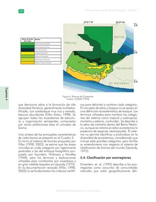 Diversidad de ecosistemas en Guatemala
Consejo Nacional de Áreas Protegidas –CONAP–202202
Capítulo4
que denomina selva a la formación de alta
diversidad florística, generalmente multiestra-
tificada, con sotobosque muy rico y variado,
bejucos abundantes (Villar Anleu, 1998). Se
agrupan todos los ecosistemas de estructu-
ra y organización semejantes, compuestos
por varias poblaciones bajo el concepto de
bioma.
Una síntesis de las principales características
de cada bioma se presenta en el Cuadro 2.
En torno al sistema de biomas propuesto por
Villar (1998; 2003), se estima que las áreas
incluidas en cada categoría son ligeramente
parecidas a las del enfoque fisiográfico pro-
puesto por Saunders, Holloway y Handley
(1948), pero los términos y explicaciones
utilizadas para nombrarlas son novedosos y
en gran medida basados en Upvardy (1975).
En la documentación revisada (Villar, 1998;
2003) no se fundamentan los criterios científi-
cos para delimitar y nombrar cada categoría.
El concepto de selva y bosque no se apoya en
una definición ecosistemática de bosque. Los
términos utilizados para nombrar las catego-
rías del sistema como tropical y subtropical,
montaña y sabana, confunden. Se describe a
la selva de montaña dentro del Reino Neárti-
co, aunque es notoria en estos ecosistemas la
presencia de especies neotropicales. El siste-
ma no permite identificar y profundizar en la
diversidad de ecosistemas, considerando que
incluye siete grandes categorías, pero facilita
su entendimiento con respecto al sistema de
clasificación de biomas del mundo (Upvardy,
1975).
5.4. Clasificación por ecorregiones
Dinerstein, et. al. (1995) describe a las eco-
rregiones como conjuntos de comunidades
naturales que están geográficamente deli-
Figura 6. Biomas de Guatemala
Fuente: CONAP (1999)
Selva Tropical Húmeda
BiomaClave de Color
del mapa
Selva Tropical Lluviosa
Selva de Montaña
Chaparral Espinoso
Bosque de Montaña
Selva Tropical Húmeda
Sabana Tropical Húmeda
 