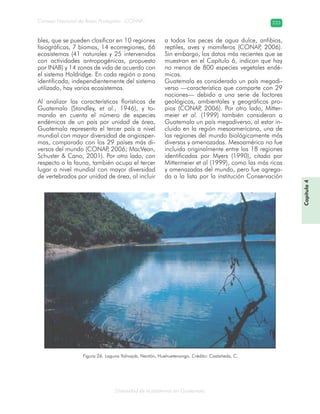 Diversidad de ecosistemas en Guatemala
Consejo Nacional de Áreas Protegidas –CONAP– 223
Capítulo4
Figura 26. Laguna Yolnajab, Nentón, Huehuetenango. Crédito: Castañeda, C.
bles, que se pueden clasificar en 10 regiones
fisiográficas, 7 biomas, 14 ecorregiones, 66
ecosistemas (41 naturales y 25 intervenidos
con actividades antropogénicas, propuesto
por INAB) y 14 zonas de vida de acuerdo con
el sistema Holdridge. En cada región o zona
identificada, independientemente del sistema
utilizado, hay varios ecosistemas.
Al analizar las características florísticas de
Guatemala (Standley, et al., 1946), y to-
mando en cuenta el número de especies
endémicas de un país por unidad de área,
Guatemala representa el tercer país a nivel
mundial con mayor diversidad de angiosper-
mas, comparado con los 29 países más di-
versos del mundo (CONAP, 2006; MacVean,
Schuster & Cano, 2001). Por otro lado, con
respecto a la fauna, también ocupa el tercer
lugar a nivel mundial con mayor diversidad
de vertebrados por unidad de área, al incluir
a todos los peces de agua dulce, anfibios,
reptiles, aves y mamíferos (CONAP, 2006).
Sin embargo, los datos más recientes que se
muestran en el Capítulo 6, indican que hay
no menos de 800 especies vegetales endé-
micas.
Guatemala es considerado un país megadi-
verso —característica que comparte con 29
naciones— debido a una serie de factores
geológicos, ambientales y geográficos pro-
pios (CONAP, 2006). Por otro lado, Mitter-
meier et al. (1999) también consideran a
Guatemala un país megadiverso, al estar in-
cluido en la región mesoamericana, una de
las regiones del mundo biológicamente más
diversas y amenazadas. Mesoamérica no fue
incluida originalmente entre las 18 regiones
identificadas por Myers (1990), citado por
Mittermeier et al (1999), como las más ricas
y amenazadas del mundo, pero fue agrega-
da a la lista por la institución Conservación
 