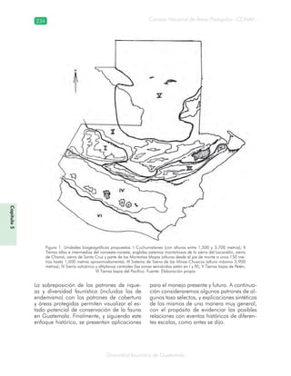 234
Diversidad faunística de Guatemala
Consejo Nacional de Áreas Protegidas –CONAP–
Capítulo5
La sobreposición de los patrones de rique-
za y diversidad faunística (incluidos los de
endemismo) con los patrones de cobertura
y áreas protegidas permiten visualizar el es-
tado potencial de conservación de la fauna
en Guatemala. Finalmente, y siguiendo este
enfoque histórico, se presentan aplicaciones
para el manejo presente y futuro. A continua-
ción consideraremos algunos patrones de al-
gunos taxa selectos, y explicaciones sintéticas
de los mismos de una manera muy general,
con el propósito de evidenciar las posibles
relaciones con eventos históricos de diferen-
tes escalas, como antes se dijo.
Figura 1. Unidades biogeográficas propuestas: I Cuchumatanes (con alturas entre 1,500 y 3,700 metros); II
Tierras altas e intermedias del noroeste-noreste, engloba sistemas montañosos de la sierra del Lacandón, sierra
de Chamá, sierra de Santa Cruz y parte de las Montañas Mayas (alturas desde el pie de monte a unos 150 me-
tros hasta 1,500 metros aproximadamente); III Sistema de Sierra de las Minas-Chuacús (altura máxima 2,900
metros); IV Sierra volcánica y altiplanos centrales (las zonas semiáridas están en I y IV); V Tierras bajas de Petén;
VI Tierras bajas del Pacífico. Fuente: Elaboración propia
 