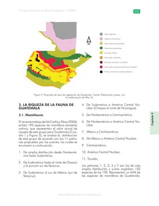 Diversidad faunística de Guatemala
Consejo Nacional de Áreas Protegidas –CONAP– 235
Capítulo5
3. LA RIQUEZA DE LA FAUNA DE
GUATEMALA
3.1. Mastofauna
El reciente trabajo de McCarthy y Pérez (2006)
enlista 192 especies de mamíferos terrestres
nativos, que representan el valor actual de
riqueza de este grupo para Guatemala (Cua-
dro 1 y Figura 3); se analiza la distribución
de este grupo de acuerdo con los 11 patro-
nes propuestos por los autores, los cuales se
enumeran a continuación:
De amplia distribución desde Norteamé-1.
rica hasta Sudamérica.
De Sudamérica hasta el norte de Oaxaca2.
y la porción sur de Veracruz.
De Sudamérica al sur de México (sur de3.
Veracruz).
De Sudamérica a América Central Nu-4.
clear (Chiapas al norte de Nicaragua).
De Norteamérica a Centroamérica.5.
De Norteamérica a América Central Nu-6.
clear.
México y Centroamérica.7.
De México a América Central Nuclear.8.
Centroamérica.9.
América Central Nuclear.10.
Yucatán.11.
Los patrones 1, 2, 3, 5 y 7 son los de más
amplia distribución y juntos engloban 122
especies de las 192. Representan un 64% de
las especies de mamíferos de Guatemala.
Figura 2. Propuesta de tipos de vegetación de Guatemala. Fuente: Elaboración propia, con
la colaboración de Véliz, M.
Selva subdecidua
Vegetación de transición
Selva medianas siempreverdes
Selvas altas siempreverdes
Encinares y Pinares
Selvas bajas caducifolias
Selva baja caducifolia con xerófitos
Selva mediana siempreverde de tierras templadas
Pinares, zacatonales y praderas subalpinas
N
 