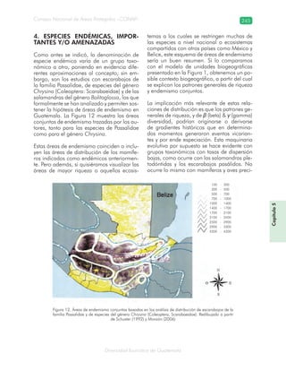 Diversidad faunística de Guatemala
Consejo Nacional de Áreas Protegidas –CONAP– 245
Capítulo5
4. ESPECIES ENDÉMICAS, IMPOR-
TANTES Y/O AMENAZADAS
Como antes se indicó, la denominación de
especie endémica varía de un grupo taxo-
nómico a otro, poniendo en evidencia dife-
rentes aproximaciones al concepto; sin em-
bargo, son los estudios con escarabajos de
la familia Passalidae, de especies del género
Chrysina (Coleoptera: Scarabaeidae) y de las
salamandras del género Bolitoglossa, los que
formalmente se han analizado y permiten sos-
tener la hipótesis de áreas de endemismo en
Guatemala. La Figura 12 muestra las áreas
conjuntas de endemismo trazadas por los au-
tores, tanto para las especies de Passalidae
como para el género Chrysina.
Estas áreas de endemismo coinciden o inclu-
yen las áreas de distribución de los mamífe-
ros indicados como endémicos anteriormen-
te. Pero además, si quisiéramos visualizar las
áreas de mayor riqueza o aquellos ecosis-
temas a los cuales se restringen muchas de
las especies a nivel nacional o ecosistemas
compartidos con otros países como México y
Belice, este esquema de áreas de endemismo
sería un buen resumen. Si lo comparamos
con el modelo de unidades biogeográficas
presentado en la Figura 1, obtenemos un po-
sible contexto biogeográfico, a partir del cual
se explican los patrones generales de riqueza
y endemismo conjuntos.
La implicación más relevante de estas rela-
ciones de distribución es que los patrones ge-
nerales de riqueza, y de β (beta) & γ (gamma)
diversidad, podrían originarse o derivarse
de gradientes históricos que en determina-
dos momentos generaron eventos vicarian-
tes y por ende especiación. Esta maquinaria
evolutiva por supuesto se hace evidente con
grupos taxonómicos con tasas de dispersión
bajas, como ocurre con las salamandras ple-
todóntidas y los escarabajos pasálidos. No
ocurre lo mismo con mamíferos y aves preci-
Figura 12. Áreas de endemismo conjuntas basadas en los análisis de distribución de escarabajos de la
familia Passalidae y de especies del género Chrysina (Coleoptera, Scarabaeidae). Redibujado a partir
de Schuster (1992) y Monzón (2006)
100 - 300
300 - 500
500 - 700
700 - 1000
1000 - 1400
1400 - 1700
1700 - 2100
2100 - 2500
2500 - 2900
2900 - 3300
3300 - 4200
 