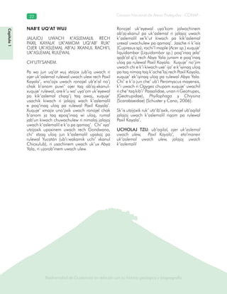 Biodiversidad de Guatemala en relación con su historia geológica y biogeografía
Consejo Nacional de Áreas Protegidas –CONAP–22
Biodiversidad de Guatemala en relación con su historia geológica y biogeografía
Capítulo1
NAB’E UQ’AT WUJ
JALAJOJ UWACH K’ASLEMALIL RECH
PAXIL KAYALA’ UK’AMOM UQ’AB’ RUK’
OJER UK’ASLEMAL AB’AJ XKANUL RACHI’L
UK’ASLEMAL RULEWAL
CH’UTI’SANEM.
Pa wa jun uq’at wuj xtzijox jub’iq uwach ri
ojer uk’aslemal rulewal uwach ulew rech Paxil
Kayala’, xno’ojix uwach ronojel ub’e’al no’j
chak b’anom puwi’ ojer taq ab’aj-xkanul-
xuquje’ rulewal, are k’u wa’ uya’om uk’eyewal
pa kik’aslemal chaqi’j taq awaj, xuquje’
usachik kiwach ri jalajoj wach k’aslemalil
e poq’inaq uloq pa rulewal Paxil Kayala’.
Xuquje’ xmajix uno’jixik uwach ronojel chak
b’anom ja taq epoq’inaq wi uloq, rumal
jab’un kiwach chuwachulew ri nimalaj jalajoj
uwach k’aslemalil e k’o pa qamaq’. Chi’ xya’
utzijoxik upaxinem uwach rech Gondwana,
chi’ xtzaq uloq jun k’aslemalil upakaj pa
rulewal Yucatán (ub’i:wakamik uchi’ xkanul
Chicxulub), ri usachinem uwach uk’ux Abya
Yala, ri ujorob’inem uwach ulew.
Ronojel uk’eyewal uya’kom jalwachinem
ab’aj-xkanul pa uk’aslemal ri jalajoj uwach
k’aslemalil xe’k’ut kiwach pa kik’aslemal
urexal uwachulew pa qamaq’. Jasche ri k’isis
(Cupresus sp), rachi’l maple (Acer sp.) xuquje’
liquidambar (Liquidambar sp.) poq’inaq jela’
qajb’al q’ij rech Abya Yala junam e poq’inaq
uloq pa rulewal Paxil Kayala. Xuquje’ no’jim
uwach chi e k’i kiwach uxe’ ija’ e k’iyinaq uloq
pa taq nimaq taq k’ache’laj rech Paxil Kayala,
xuquje’ ek’iyinaq uloq pa rulewal Abya Yala.
Chi’ e k’o jun che’ ub’i Peromyscus mayensis,
k’i uwach ri Ogyges chupam xuquje’ uwachil
ri che’ taq kib’i’ Passalidae, unan ri Geotrupes,
(Geotrupidae), Phyllophaga y Chrysina
(Scarabaeidae) (Schuster y Cano, 2006).
Sk’is utzijoxik ruk’ utz’ib’axik, ronojel ub’aqilal
jalajoj uwach k’aslemalil riqom pa rulewal
Paxil Kayala’.
UCHOLAJ TZIJ: ub’aqilal, ojer uk’aslemal
uwach ulew, Paxil Kayala’, eta’manen
uk’aslemal uwach ulew, jalajoj uwach
k’aslemalil
 