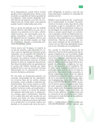 Diversidad faunística de Guatemala
Consejo Nacional de Áreas Protegidas –CONAP– 247
Capítulo5
de la fragmentación, puede reducir el flujo
genético entre subpoblaciones, dando como
resultado una pérdida de heterocigosidad de
la población. Tales eventos dependen tam-
bién del tipo de especies y, por ello, las con-
sideraciones de manejo para unas especies
pueden resultar inadecuadas para otras.
Hay un grupo de especies que ha recibido
mucha atención del público ya que, por su
relación muy estrecha con la vida y cotidia-
nidad humanas, son reconocidas como es-
pecies importantes y útiles. En conjunto se
les denomina fauna cinegética, término que
se refiere a los animales cazados con fines
de subsistencia, deporte y comerciales (CE-
CON-PROBIOMA, 2005).
Como ocurre con la pesca, la cacería es
un tipo de cosecha, cuya intensidad en mu-
chos casos es regulada por el propio grupo
interesado con el propósito de mantener la
oferta natural. Sin embargo, a diferencia de
los peces, los cuales se mueven en extensos
ambientes relativamente continuos, la fauna
terrestre lo hace en ambientes discontinuos.
Esta discontinuidad podría ser generada por
el cambio del hábitat impuesto por algún
gradiente físico o por las acciones humanas
relacionadas con la urbanización y la pro-
ducción de bienes y alimentos.
Por otro lado, en Guatemala presenta una
marcada marginalidad de los asentamien-
tos humanos lejos de los centros urbanos
principales, como ciudades o cabeceras de-
partamentales. Esto mismo impone un estilo
de vida marcadamente diferente para estos
pueblos humanos rurales, principalmente in-
dígenas, en cuanto a su forma de resolver
los aspectos esenciales para la sobreviven-
cia: energía, agua y alimentación. Mientras
en la ciudad todo esto está resuelto de una
manera que hasta nos hace inconscientes
acerca de los orígenes y procesos implicados
en su producción, en el campo implica, por
ejemplo, en la ausencia de carne de vaca o
pollo refrigerado, el acecho y caza de una
presa destinada a satisfacer la necesidad de
proteína animal.
Debido a que los esfuerzos de conservación
de la biodiversidad se localizan frecuente-
mente en las áreas rurales, lejos de las urbes
principales, surge la contradicción entre el
modo de vida de los pobladores rurales y es-
tas estrategias de conservación que además
tienen su propio soporte legal. La contradic-
ción se agudiza cuando los objetivos de con-
servación abarcan especies que tradicional-
mente han sido preferidas por sus cualidades
alimenticias. Además, se presentan en mu-
chos casos traslapes de las actividades hu-
manas con las relaciones depredador-presa,
que no son toleradas por los pobladores.
Aun cuando la información básica de los
atributos primarios de las poblaciones de es-
pecies cinegéticas es muy incompleta, desde
el conocimiento de la abundancia poblacio-
nal se han integrado prescripciones para el
manejo general de este tipo de fauna. Éstas
abarcan desde el sustento legal hasta la pro-
puesta de calendarios cinegéticos, los cua-
les no son asumidos como hipotéticos. Por
lo tanto, como medidas correctivas no son
evaluadas, para verificar, como en todo ex-
perimento y bajo determinados supuestos, si
dichos calendarios tienen efecto en alguna
variable de la población silvestre, como pue-
de ser la abundancia. En Guatemala, algu-
nos investigadores, como Jolón (2003) cita-
do por CECON/PROBIOMA (2005), acuña-
ron el término gestión cinegética para tratar
de cubrir aspectos claves del manejo de esta
fauna: restauración de espacios degradados,
garantía de refugio, agua y alimento, así
como la caza selectiva, consideraciones que
en conjunto se han planteado como impor-
tantes para la sostenibilidad de las poblacio-
nes ante la cosecha.
Jolón y colaboradores (2005) citados por
CECON/PROBIOMA (2005) indican que
 