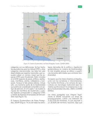 Diversidad faunística de Guatemala
Consejo Nacional de Áreas Protegidas –CONAP– 255
Capítulo5
categorías con sus definiciones. Se han hecho
las equivalencias para los índices CITES y otras
categorías internacionales. Las listas han sido
desarrolladas por expertos nacionales y por su-
puesto cubren un número mayor que las es-
pecies CITES para Guatemala. Están incluidas
en el LEAE especies de peces, anfibios, reptiles,
aves, mamíferos, arañas, coleópteros y mari-
posas. Aunque la lista parece extensa, incluye
sólo una brevísima parte de la biodiversidad
que podría ser considerada vulnerable o en pe-
ligro de extinción. En el Cuadro 1 se muestra la
riqueza de mamíferos de Guatemala y cuán-
tas especies corresponden a categorías CITES
y Listado de Especies Amenazadas de Extinción
(lista roja) (Figura 15).
El Sistema Guatemalteco de Áreas Protegi-
das, SIGAP (Figura 14) es de todas las estra-
tegias derivadas de la política y legislación
guatemaltecas en materia de biodiversidad,
la más tangible porque se refiere a superfi-
cies terrestres delimitadas que contienen bio-
diversidad.
Se espera que las áreas silvestres protegidas,
junto con los corredores o interconexiones,
los huertos familiares y los campos de agri-
cultores con tecnología tradicional sean los
medios que favorezcan la conservación in situ
de la biodiversidad (Azurdia, 2004; CONAP,
2005a).
Las áreas protegidas que integran legal-
mente el SIGAP, incluyendo sus áreas de
amortiguamiento, cubren una extensión de
3,357,470.26 hectáreas, lo que equivale a
un 30.83% del territorio nacional, algo que
Figura 14. Sistema Guatemalteco de Áreas Protegidas. Fuente: CONAP (2005)
 