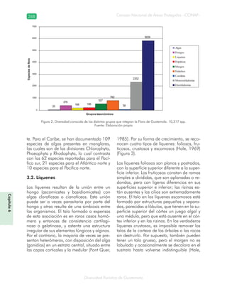 268
Diversidad florística de Guatemala
Consejo Nacional de Áreas Protegidas –CONAP–
Capítulo6
te. Para el Caribe, se han documentado 109
especies de algas presentes en manglares,
las cuales son de las divisiones Chlorophyta,
Phaeophyta y Rhodophyta, lo cual contrasta
con las 62 especies reportadas para el Pací-
fico sur, 21 especies para el Atlántico norte y
10 especies para el Pacifico norte.
3.2. Líquenes
Los líquenes resultan de la unión entre un
hongo (ascomicetes y basidiomicetes) con
algas clorofíceas o cianofíceas. Esta unión
puede ser a veces parasitaria por parte del
hongo y otras resulta de una simbiosis entre
los organismos. El talo formado a expensas
de esta asociación es en raros casos homó-
mero y entonces de consistencia cartilagi-
nosa o gelatinosa, y ostenta una estructura
irregular de sus elementos fúngicos y alginos.
Por el contrario, la mayoría de veces se pre-
sentan heterómeros, con disposición del alga
(gonidios) en un estrato central, situado entre
las capas corticales y la medular (Font Quer,
1985). Por su forma de crecimiento, se reco-
nocen cuatro tipos de líquenes: foliosos, fru-
ticosos, crustosos y escamosos (Hale, 1969)
(Figura 3).
Los líquenes foliosos son planos y postrados,
con la superficie superior diferente a la super-
ficie inferior. Los fruticosos constan de ramas
simples o divididas, que son aplanadas o re-
dondas, pero con ligeras diferencias en sus
superficies superior e inferior; las rizinas es-
tán ausentes y los cilios son extremadamente
raros. El talo en los líquenes escamosos está
formado por estructuras pequeñas y separa-
das, parecidas a lóbulos, que tienen en la su-
perficie superior del córtex un juego algal y
una médula, pero que está ausente en el cór-
tex inferior y en las rizinas. En los verdaderos
líquenes crustosos, es imposible remover los
talos de la corteza de los árboles o las rocas
sin destruirlo. Por supuesto, también pueden
tener un talo grueso, pero el margen no es
lobulado y ocasionalmente se decolora en el
sustrato hasta volverse indistinguible (Hale,
Figura 2. Diversidad conocida de los distintos grupos que integran la Flora de Guatemala. 10,317 spp.
Fuente: Elaboración propia
20
376
168 195
527
782
58
2352
5839
0
1000
2000
3000
4000
5000
6000
7000
Grupos taxonómicos
Especiesdeflora
Algas
Hongos
Liquenes
Hepáticas
Musgos
Helechos
Coniferas
Monocotiledonias
Dicotiledonias
 