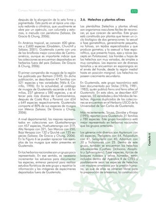 Diversidad florística de Guatemala
Consejo Nacional de Áreas Protegidas –CONAP– 273
lamalaatemaladeca
después de la elongación de la seta firme y
pigmentada. Ésta porta en el ápice una cáp-
sula redonda o cilíndrica, que usualmente se
abre por un opérculo, con columela y esto-
mas, a menudo con peristoma (Salazar, De
Gracia & Chung, 2006).
En América tropical, se conocen 400 géne-
ros y 2,600 especies (Gradstein, Churchill y
Salazar, 2001). Guatemala cuenta con una
de las briofloras mejor conocidas de Centro-
américa, aunque es importante indicar que
las colecciones se encuentran depositados en
herbarios fuera del país (Salazar, De Gracia
& Chung, 2006).
El primer compendio de musgos de la región
fue publicado por Bartram (1949). En dicha
publicación, se describieron 47 familias con
521 especies y tres variedades (Véliz & Ca-
rrillo, 1996). En la actualidad, el catálogo
de musgos de Guatemala asciende a 66 fa-
milias, 237 géneros y 580 especies, y es el
tercer país más diverso de Centroamérica,
después de Costa Rica y Panamá con 654
y 649 especies respectivamente. Guatemala
comparte el 80% de sus especies de musgos
con México (Salazar, De Gracia y Chung,
2006).
A nivel departamental, los mejores represen-
tados en colecciones son Quetzaltenango
con 457 especies, Huehuetenango con 319,
Alta Verapaz con 321, San Marcos con 250,
Baja Verapaz con 132 y Quiché con 125 es-
pecies (Salazar, De Gracia y Chung, 2006).
En la Figura 6 se pueden apreciar tres ejem-
plos de los musgos que están presentes en
Guatemala.
En los herbarios nacionales son un grupo poco
representado. En ese sentido, es necesario
incrementar los esfuerzos para documentar
las especies, entrenar personal para realizar
estudios florísticos de este grupo y repatriar la
información y las imágenes de especímenes
depositados fuera de Guatemala.
3.6. Helechos y plantas afines
Las pteridofitas (helechos y plantas afines)
son organismos vasculares fáciles de recono-
cer, ya que carecen de semillas. Este grupo
está constituido por plantas que tienen un ci-
clo biológico de dos generaciones: la sexual
o fase gametofítica, generalmente pequeña,
no foliosa, sin tejidos especializados y que
produce gametos; y la asexual o fase espo-
rofítica, que presenta hojas, ejes y raíces (ex-
cepto en Psilotaceae). Los frondes u hojas de
los helechos son muy variados, de simples a
muy complejos. Las esporas son de diversos
tamaños y se encuentran en esporangios en
el envés del fronde, desde la región medial
hasta en posición marginal. Los helechos no
poseen crecimiento secundario.
En Guatemala, este grupo taxonómico está
bien documentado por Stolze (1976, 1981,
1983), quién publicó Ferns and ferns allies of
Guatemala. En esta obra, se describen 637
especies, 55 variedades y dos híbridos de he-
lechos. Algunos duplicados de las coleccio-
nes se encuentran en el Herbario USCG de la
Universidad de San Carlos de Guatemala.
Más recientemente, Sousa, Davidse y Knapp
(1995) reportan para Guatemala 31 familias
y 780 especies. Este grupo taxonómico está
mejor representado en herbarios nacionales
que los grupos anteriores.
Los géneros más diversos son Asplenium con
65 especies, Thelypteris con 64, Polypodium
con 41, Selaginella con 40, Adiantum con
30 y Trichomanes con 25. Dentro de este
grupo, también se encuentran los helechos
arborescentes (Cyathea, Dicksonia, Alsophi-
la y Sphaeropteris). Estas especies, típicas de
bosques nubosos y selvas húmedas, están
incluidas dentro del Apéndice II de CITES y
posiblemente sean las especies de helechos
con mayores amenazas por la presión huma-
na, ya que de ellas se obtienen fibras para
la preparación de artesanías, la construcción
Capítulo6
 