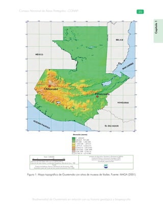 Biodiversidad de Guatemala en relación con su historia geológica y biogeografía
Consejo Nacional de Áreas Protegidas –CONAP– 25
Figura 1. Mapa topográfico de Guatemala con sitios de museos de fósiles. Fuente: MAGA (2001)
Capítulo1
0 - 468,843
468,843 - 937,685
937,685 - 1,406.528
1,406.528 - 1,875.37
1,875.37 - 2,344.213
2,344.213 - 2,813.055
2,813.055 - 3,281.898
3,281.898 - 3,750.74
3,750.74 - 4,219.583
Elevación (msnm)
Ministerio de Agricultura, Ganadería y Alimentación (MAGA)
Unidad de Políticas e Información Estratégica (UPIE)
Laboratorio de Sistemas de Información Geográfica
Guatemala, agosto de 2001Proyección del mapa digital: UFM, zona 15, DATUM MAD 27
Proyección del mapa impreso: Coordenadas Geográficas, Esferoide de Clava. 1980
Fuente:
Proyecto de Asistencia Técnica y Generación de Información, CATIE
Generada a partir de Curvas de nivel y puntos de elevación, ION, 2000
50 0 50 100
Escala 1:2,000,000
 
