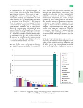 Diversidad florística de Guatemala
Consejo Nacional de Áreas Protegidas –CONAP– 289
Capítulo6
80 80
72
58
45
29 26 23 19 18 17 17 15 15
311
0
50
100
150
200
250
300
350
Familias
númerodeespecies
Orchidaceae
Asteraceae
Piperaceae
Cactaceae
Rubiaceae
Asclepiadaceae
Poaceae
Bromeliaceae
Solanaceae
Melastomataceae
Agavaceae
Acanthaceae
Scrophulariaceae
Lamiaceae
Otras familias ( 113 )
Figura 18. Familias con más especies incluidas en el Listado de Especies Amenazadas de Extinción (2006).
127 familias / 825 spp. Fuente: Elaboración propia
La deforestación, la ingobernabilidad, la
extracción y exportación de flora (Tillandsia
spp., Beucarnea spp. y Chamaedorea spp.) y
las agendas internacionales son algunos de
los muchos factores que amenazan la diver-
sidad florística de Guatemala, pero este tema
es ampliado en el Capítulo 11 del presente
libro. Es necesario mencionar que el limitado
conocimiento de los grupos de plantas infe-
riores es otro elemento que se debe incluir
dentro de las amenazas. Los grupos de plan-
tas con flores, los helechos y las coníferas son
los mejor documentados, pero el conocimien-
to y experiencia se encuentran centralizados
en pocas personas, lo cual, sumado al hecho
de que no se está formando nuevo recurso
humano, retrasa el proceso de conocimiento
y conservación de la flora nacional.
Muchos de los recursos florísticos silvestres
que las distintas comunidades humanas utili-
zan y extraen para el consumo no tienen una
garantía de sostenibilidad asegurada. Esto
sucede, por ejemplo, con los musgos (epífi-
tos de los encinares y de las selvas medianas
perennifolias templadas), los cuales, aunque
carecen de gran valor comercial, son extraí-
dos para las fiestas navideñas para luego ser
vendidos en los mercados locales. Sin em-
bargo, se desconoce el volumen consumido.
Además, conjuntamente con ellos son ex-
traídas otras especies, tales como Tillandsia
usneoides, T. ponderosa y T. guatemalensis.
Es posible que si los bosques no se talaran,
las poblaciones de musgos podrían recupe-
rarse.
Otro ejemplo interesante de preservación es
el manejo de las especies de la agrobiodiver-
sidad, que se observa en el uso sostenible que
de ellas hacen las comunidades humanas,
tanto en la agricultura tradicional como en
 