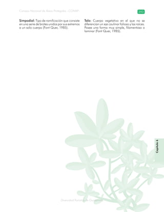 Diversidad florística de Guatemala
Consejo Nacional de Áreas Protegidas –CONAP– 293
lamalaatemaladeca
Capítulo6
Simpodial: Tipo de ramificación que consiste
en una serie de brotes unidos por sus extremos
a un solo cuerpo (Font Quer, 1985).
Talo: Cuerpo vegetativo en el que no se
diferencian un eje caulinar folioso y las raíces.
Posee una forma muy simple, filamentosa o
laminar (Font Quer, 1985).
 