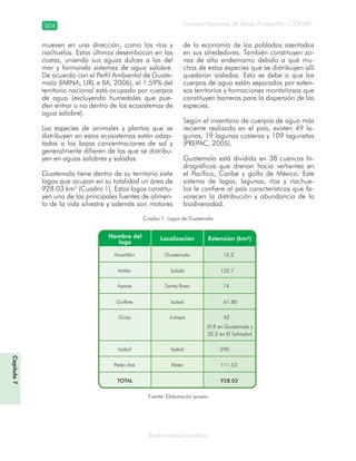 Consejo Nacional de Áreas Protegidas –CONAP–304
Biodiversidad acuática
mueven en una dirección, como los ríos y
riachuelos. Estos últimos desembocan en las
costas, uniendo sus aguas dulces a las del
mar y formando sistemas de agua salobre.
De acuerdo con el Perfil Ambiental de Guate-
mala (IARNA, URL e IIA, 2006), el 1.59% del
territorio nacional está ocupado por cuerpos
de agua (excluyendo humedales que pue-
den entrar o no dentro de los ecosistemas de
agua salobre).
Las especies de animales y plantas que se
distribuyen en estos ecosistemas están adap-
tadas a las bajas concentraciones de sal y
generalmente difieren de las que se distribu-
yen en aguas salobres y saladas.
Guatemala tiene dentro de su territorio siete
lagos que ocupan en su totalidad un área de
928.03 km2
(Cuadro 1). Estos lagos constitu-
yen una de las principales fuentes de alimen-
to de la vida silvestre y además son motores
de la economía de los poblados asentados
en sus alrededores. También constituyen zo-
nas de alto endemismo debido a que mu-
chas de estas especies que se distribuyen allí
quedaron aisladas. Esto se debe a que los
cuerpos de agua están separados por exten-
sos territorios y formaciones montañosas que
constituyen barreras para la dispersión de las
especies.
Según el inventario de cuerpos de agua más
reciente realizado en el país, existen 49 la-
gunas, 19 lagunas costeras y 109 lagunetas
(PREPAC, 2005).
Guatemala está dividida en 38 cuencas hi-
drográficas que drenan hacia vertientes en
el Pacífico, Caribe y golfo de México. Este
sistema de lagos, lagunas, ríos y riachue-
los le confiere al país características que fa-
vorecen la distribución y abundancia de la
biodiversidad.
Cuadro 1. Lagos de Guatemala
Fuente: Elaboración propia
Capítulo7
 