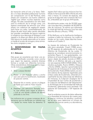Consejo Nacional de Áreas Protegidas –CONAP–306
Biodiversidad acuáticaBiodiversidad acuática
de transición entre el mar y la tierra. Debi-
do a la baja densidad poblacional humana
(en comparación con la del Pacífico), estas
playas aún conservan una buena cobertura
vegetal que utilizan muchas especies como
refugio. Por esta característica son sitio ideal
para la anidación de la tortuga carey, una
especie amenazada de extinción que utiliza
playas con cobertura de vegetación espesa
para hacer sus nidos. Lamentablemente, las
playas de este litoral están siendo afectadas
por grandes cantidades de basura orgánica
e inorgánica que descarga el Motagua y que
regresa a la playa por efecto de las mareas.
Esta basura se queda estancada en la arena
e impide el acceso de tortugas y otros anima-
les como cangrejos y aves.
3. BIODIVERSIDAD DE FAUNA
ACUÁTICA
3.1. Moluscos
Este grupo se caracteriza por tener una es-
tructura calcificada conocida como concha
que, según las especies, presenta diversas
formas y cumple con diferentes funciones.
Otras características distintivas que la mayo-
ría de moluscos comparten son:
Tener cuerpos blandos.1.
Poseer un pie muscular plano y ancho2.
que usan para la locomoción, localizado
en posición ventral.
Disponer de un manto, que es un pliegue3.
de tejido que cubre la masa visceral.
Presentar una estructura llamada rádu-4.
la, que utilizan para raspar el alimento,
y que es una banda cubierta de dientes
parecida a una lima.
Los moluscos son un grupo numeroso de or-
ganismos que se distribuyen en hábitats que
van desde los mares hasta los desiertos. El
registro fósil indica que los moluscos han ha-
bitado la tierra durante 600 millones de años
más o menos. En número de especies, este
grupo es el segundo más numeroso del mun-
do, antecedido por el grupo Arthropoda.
Mundialmente existen más de 50,000 espe-
cies vivas descritas y alrededor de 60,000 fó-
siles de moluscos. Se estima que solamente
la mitad del total de moluscos vivos han sido
descritos (Brusca y Brusca, 1990).
El filo Mollusca, en la clasificación biológica,
contiene a todos los moluscos, los cuales se
dividen en las cuatro clases descritas breve-
mente en el Cuadro 2.
La riqueza de moluscos en Guatemala ha
sido poco estudiada. Cazali (1988) encon-
tró 98 especies de pelecípodos en la costa
Atlántica de Guatemala, de las cuales 17
especies se consideran económicamente im-
portantes (Figura 1). Los gasterópodos, con
énfasis en el caracol gigante Strombus gigas,
fueron objeto de estudio durante el 2005 y
2006 en el Atlántico del país y se reporta-
ron seis especies (A3K-CONAP, 2006). Otros
estudios puntuales, Ruano (2000) y Vásquez
y Muñoz (2000), reportan aproximadamente
20 especies de moluscos en la costa Pacífica
de Guatemala. Prado (2006) realizó una revi-
sión extensa de las especies registradas para
ambas costas de Guatemala, utilizando prin-
cipalmente las dos colecciones de referencia
de moluscos, la Colección Zoológica de la
Universidad de San Carlos de Guatemala y
la Colección de Referencia del Departamen-
to de Biología de la Universidad del Valle de
Guatemala, obteniendo como resultado 123
especies de Gastropoda y 169 especies de
Bivalva.
Ante la evidente ausencia de datos referentes
a la diversidad de moluscos de nuestro país,
es preciso continuar los estudios y profundi-
zar en ellos para determinar el número de
especies con que se cuenta y su abundancia,
Capítulo7
 