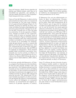 Biodiversidad de Guatemala en relación con su historia geológica y biogeografía
Consejo Nacional de Áreas Protegidas –CONAP–28
Capítulo1
tipos de bosques, desde formas gigantes de
plantas que todavía existen, pero que en la
actualidad son pequeñas –por ejemplo, la
cola de caballo (Equisetum) y los licopodios–
hasta bosques de cicas y coníferas.
Hacia el final del Paleozoico, la deriva de las
placas tectónicas logró juntar a la mayoría de
los continentes en una sola masa continen-
tal: el supercontinente Pangea (Figura 3). En
realidad, durante los billones de años ante-
riores, se habían formado y desintegrado una
serie de supercontinentes. Pangea fue el últi-
mo de ellos, formado por la unión de todos
los continentes. En la era siguiente, el Meso-
zoico, Pangea se dividió en dos superconti-
nentes: hacia el norte, en Laurasia; hacia el
sur, en Gondwana (Figura 4).Desde entonces
hasta el presente, estos dos supercontinentes
también se dividieron en los continentes que
se conocen en la actualidad. Sin embargo,
antes de esta división, ocurrió un evento que
definió el final del período Paleozoico, hace
251 millones de años: la extinción más gran-
de en la historia del planeta. Más del 90% de
las especies se extinguieron. Varios factores
pueden haber contribuido a ese evento. Uno,
apoyado por muchos autores, se refiere a la
erupción volcánica más grande que ha ocu-
rrido en los últimos 600 millones de años, la
cual ocurrió en Siberia (Benton, 2001; Edwin,
2006).
En el primer período del Mesozoico, el Triási-
co, surgieron los dinosaurios y los mamíferos.
Al final de este período también hubo otra
gran extinción. Una hipótesis plantea que fue
causada por las condiciones de la atmósfera
en esa etapa. En ese momento se presentó la
más baja concentración de oxígeno en la at-
mósfera durante los últimos 500 millones de
años (tal vez sólo 13%, distante del 21% ac-
tual). También se presentó una alta concentra-
ción de dióxido de carbono y, aparentemente,
mucho sulfuro de hidrógeno, un compuesto
venenoso. La concentración de oxígeno au-
mentó en el período siguiente, el Jurásico,
durante el cual los dinosaurios fueron domi-
nantes (Ward, 2006). En el último período,
el Cretácico, las angiospermas (plantas con
flores) prevalecieron en la Tierra.
El Mesozoico fue una era relativamente ca-
liente, es decir, sin glaciaciones. Dinosau-
rios y las plantas subtropicales vivieron cerca
de los polos. Estas altas temperaturas de la
Tierra hicieron que el agua de los océanos
inundara las partes bajas de los continentes,
con lo cual se formaron los mares epeíricos
sobre los continentes. Se calcula que, si todos
los glaciares que existen hoy se derritieran, el
nivel del mar subiría unos 300 pies (100 m
aproximadamente). Gran parte del territorio
de Guatemala se encontraba sumergido du-
rante ese período. En Norteamérica, se formó
un mar que lo dividió en dos desde el golfo de
México hasta el océano Ártico. Como conse-
cuencia, muchos organismos evolucionaron
independientemente en el este y el oeste de
Norteamérica. Muchas plantas del oeste es-
taban relacionadas con las plantas del este
de Asia, debido a la conexión de Alaska con
Siberia. Al fin de cuentas, cuando apareció
Guatemala, ésta recibió inmigrantes de am-
bos lados de Norteamérica –por ejemplo, el
ciprés (Cupressus) del oeste, y el maple (Acer)
y el liquidámbar (Liquidambar) del este–. Es-
tas migraciones ocurrieron principalmente en
el siguiente período, es decir, el Cenozoico.
Hace 75 millones de años (durante el perío-
do Cretácico tardío), existió un intervalo de
unos 5 millones de años en los que las proto-
Antillas formaron un puente terrestre entre el
norte y el sur del continente en una posición
ubicada desde Nicaragua hasta Suramérica
(Iturralde-Vinet, 2006). Luego, estas islas mi-
graron hacia el este sobre la placa del Cari-
be y llegaron, al final del período Cenozoico,
a su posición actual para formar las Antillas
Mayores (Coates, 2003). Durante este tiem-
po, la fauna de la región centroamericana
era más similar a la de Norteamérica que a
la de Suramérica.
 