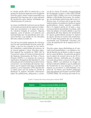 Consejo Nacional de Áreas Protegidas –CONAP–310
Biodiversidad acuática
en donde resulta difícil la extracción y, con
excepción de pocas especies como el gigante
Strombus gigas, tienen masas corporales muy
pequeñas que requieren de un gran esfuerzo
de recolección para obtener cantidades sig-
nificativas para el consumo.
La mayor cantidad de moluscos que se ofrece
al mercado proviene de las capturas inciden-
tales que acompañan a la pesca de arras-
tre industrial dirigida al camarón. Algunas
especies, como el abulón y el calamar, son
aprovechadas por los pescadores para con-
sumo familiar o se venden en los mercados
del área costera (Cuadro 4).
Una de las principales especies de moluscos
que ha sido aprovechada durante varias dé-
cadas, y que es muy popular en los menús
de comedores y restaurantes de mariscos, es
el caracol gigante o reina, Strombus gigas.
Esta especie fue sometida en 2001 por la
Convención sobre el Comercio Internacional
de Especies Amenazadas de Flora y Fauna
Silvestre (CITES) a un examen de comercio
significativo de especies del Apéndice II, y fue
evaluado por el Comité de Fauna de la misma
convención. Los resultados del examen mos-
traron que la especie está bajo considerable
presión y, como respuesta, CITES decidió dar
un plazo para que los países en donde se
distribuye la especie recopilen información
sobre las poblaciones, pesquerías y comer-
cio de la misma. El estudio correspondiente
de Guatemala lo llevó a cabo A3K-CONAP
durante 2005 y 2006 y aún no ha finalizado
debido a dificultades financieras. Sin embar-
go, los resultados preliminares del mismo in-
dicaron que, al contrario de lo que se creía,
todavía existe una población adulta en aguas
guatemaltecas (varios expertos considera-
ban a la especie extinta en el país), y que,
aunque presenta densidades muy bajas, está
fuera de peligro inminente debido a que los
pescadores del área dejaron de recolectarlo
en aguas guatemaltecas porque la captura
en aguas vecinas es mucho más productiva.
Aún sin estar bajo presión de uso, el estudio
recomendó que Guatemala impusiera una
cuota de exportación de la especie de 0 in-
dividuos.
Strombus gigas sigue ofertándose en el mer-
cado local guatemalteco, y se obtiene a tra-
vés de faenas que se llevan a cabo en aguas
de los cayos de Belice. Anualmente se estima
que la pesca de caracol reina es de 42 to-
neladas métricas, realizadas por 16 embar-
caciones tiburoneras y cayucos (Giró, 2006;
Ixquiac, 2007). Los esfuerzos se dirigen en
territorio beliceño debido a que la población
de Guatemala es muy pequeña y a que la
especie se encuentra a profundidades ma-
yores de 12 metros, que resultan peligrosos
para pescadores que bucean a pulmón (A3K-
CONAP, 2006). Se concluye que todo el ca-
Cuadro 4. Capturas de moluscos de la pesca industrial, 2004
Fuente: FAO (2005)
Capítulo7
 