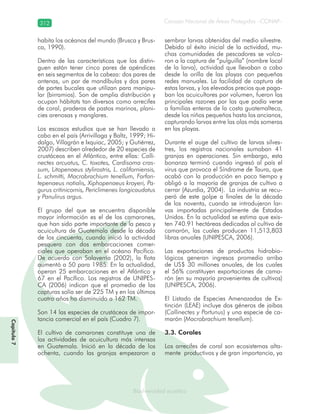 Consejo Nacional de Áreas Protegidas –CONAP–312
Biodiversidad acuáticaBiodiversidad acuática
habita los océanos del mundo (Brusca y Brus-
ca, 1990).
Dentro de las características que los distin-
guen están tener cinco pares de apéndices
en seis segmentos de la cabeza: dos pares de
antenas, un par de mandíbulas y dos pares
de partes bucales que utilizan para manipu-
lar (birramios). Son de amplia distribución y
ocupan hábitats tan diversos como arrecifes
de coral, praderas de pastos marinos, plani-
cies arenosas y manglares.
Los escasos estudios que se han llevado a
cabo en el país (Arrivillaga y Baltz, 1999; Hi-
dalgo, Villagrán e Ixquiac, 2005; y Gutiérrez,
2007) describen alrededor de 20 especies de
crustáceos en el Atlántico, entre ellas: Calli-
nectes arcuatus, C. toxotes, Cardisoma cras-
sum, Litopenaeus stylirostris, L. californiensis,
L. schmitti, Macrobrachium tenellum, Farfan-
tepenaeus notialis, Xiphopenaeus kroyeri, Pa-
gurus critinicornis, Periclimenes longicaudatus
y Panulirus argus.
El grupo del que se encuentra disponible
mayor información es el de los camarones,
que han sido parte importante de la pesca y
acuicultura de Guatemala desde la década
de los cincuenta, cuando inició la actividad
pesquera con dos embarcaciones comer-
ciales que operaban en el océano Pacífico.
De acuerdo con Salaverría (2002), la flota
aumentó a 50 para 1985. En la actualidad,
operan 25 embarcaciones en el Atlántico y
67 en el Pacífico. Los registros de UNIPES-
CA (2006) indican que el promedio de las
capturas solía ser de 225 TM y en los últimos
cuatro años ha disminuido a 162 TM.
Son 14 las especies de crustáceos de impor-
tancia comercial en el país (Cuadro 7).
El cultivo de camarones constituye una de
las actividades de acuicultura más intensas
en Guatemala. Inició en la década de los
ochenta, cuando las granjas empezaron a
sembrar larvas obtenidas del medio silvestre.
Debido al éxito inicial de la actividad, mu-
chas comunidades de pescadores se volca-
ron a la captura de “pulguilla” (nombre local
de la larva), actividad que llevaban a cabo
desde la orilla de las playas con pequeñas
redes manuales. La facilidad de captura de
estas larvas, y los elevados precios que paga-
ban los acuicultores por volumen, fueron las
principales razones por las que podía verse
a familias enteras de la costa guatemalteca,
desde los niños pequeños hasta los ancianos,
capturando larvas entre las olas más someras
en las playas.
Durante el auge del cultivo de larvas silves-
tres, los registros nacionales sumaban 41
granjas en operaciones. Sin embargo, esta
bonanza terminó cuando ingresó al país el
virus que provoca el Síndrome de Taura, que
acabó con la producción en poco tiempo y
obligó a la mayoría de granjas de cultivo a
cerrar (Azurdia, 2004). La industria se recu-
peró de este golpe a finales de la década
de los noventa, cuando se introdujeron lar-
vas importadas principalmente de Estados
Unidos. En la actualidad se estima que exis-
ten 740.91 hectáreas dedicadas al cultivo de
camarón, las cuales producen 11,513,803
libras anuales (UNIPESCA, 2006).
Las exportaciones de productos hidrobio-
lógicos generan ingresos promedio arriba
de US$ 30 millones anuales, de los cuales
el 56% constituyen exportaciones de cama-
rón (en su mayoría provenientes de cultivos)
(UNIPESCA, 2006).
El Listado de Especies Amenazadas de Ex-
tinción (LEAE) incluye dos géneros de jaibas
(Callinectes y Portunus) y una especie de ca-
marón (Macrobrachium tenellum).
3.3. Corales
Los arrecifes de coral son ecosistemas alta-
mente productivos y de gran importancia, ya
Capítulo7
 