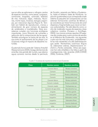 Consejo Nacional de Áreas Protegidas –CONAP– 313
Biodiversidad acuática
que en ellos se aglomeran o refugian cientos
de especies marinas, como peces, cangrejos,
camarones, langostas, caracoles, babosas
de mar, moluscos, algas, medusas, tiburo-
nes, manta rayas, morenas, tortugas y espon-
jas, por mencionar algunos (Figura 4). Tam-
bién son hábitat de reproducción, crianza y
alimentación de gran número de especies
de vertebrados e invertebrados. Estos eco-
sistemas cumplen con funciones ecológicas
importantes, como filtración de nutrientes y
reducción de la contaminación de las aguas.
También amortiguan la fuerza de las olas, lo
que evita el asolvamiento de las playas y en
ocasiones mitiga el impacto de desastres na-
turales.
Guatemala forma parte del Sistema Arrecifal
Mesoamericano (SAM), la segunda barrera de
arrecifes más grande del mundo, que abarca
aguas someras marinas desde la península
de Yucatán, pasando por Belice y Guatema-
la, hasta el extremo oeste de Honduras. La
porción guatemalteca que corresponde a este
sistema es pequeña (en comparación con las
extensas formaciones coralinas de Belice) y
se caracteriza por tener formaciones de coral
dispersas y fragmentadas que crecen en ban-
cos carbonatados. Ha sido descrita como un
sitio de moderada riqueza de especies y baja
cobertura coralina (Fonseca y Arrivillaga,
2003). Los mismos autores reportan 29 espe-
cies de corales para cuatro puntos de estudio
en el Atlántico de Guatemala. Las siguientes
cuatro son las más comunes y probablemen-
te las más resistentes a la alta sedimentación
que existe: Montastraea cavernosa (Figura
5), Siderastrea siderea, Stephanocoenia mi-
chelinii y Porites astreoides. Otras seis espe-
cies han sido añadidas a las listas a partir de
investigaciones más recientes (A3K-CONAP,
2006; Gutiérrez, 2007).
Cuadro 7. Crustáceos de importancia comercial para Guatemala
Fuente: UNIPESCA (2006) y com. pers. Jolón2
Capítulo7
 