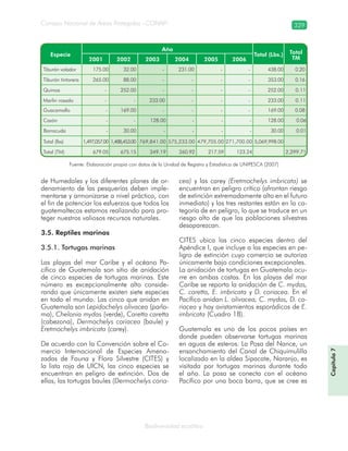 Consejo Nacional de Áreas Protegidas –CONAP– 329
Biodiversidad acuática
Fuente: Elaboración propia con datos de la Unidad de Registro y Estadística de UNIPESCA (2007)
de Humedales y los diferentes planes de or-
denamiento de las pesquerías deben imple-
mentarse y armonizarse a nivel práctico, con
el fin de potenciar los esfuerzos que todos los
guatemaltecos estamos realizando para pro-
teger nuestros valiosos recursos naturales.
3.5. Reptiles marinos
3.5.1. Tortugas marinas
Las playas del mar Caribe y el océano Pa-
cífico de Guatemala son sitio de anidación
de cinco especies de tortugas marinas. Este
número es excepcionalmente alto conside-
rando que únicamente existen siete especies
en todo el mundo. Las cinco que anidan en
Guatemala son Lepidochelys olivacea (parla-
ma), Chelonia mydas (verde), Caretta caretta
(cabezona), Dermochelys coriacea (baule) y
Eretmochelys imbricata (carey).
De acuerdo con la Convención sobre el Co-
mercio Internacional de Especies Amena-
zadas de Fauna y Flora Silvestre (CITES) y
la lista roja de UICN, las cinco especies se
encuentran en peligro de extinción. Dos de
ellas, las tortugas baules (Dermochelys coria-
cea) y las carey (Eretmochelys imbricata) se
encuentran en peligro crítico (afrontan riesgo
de extinción extremadamente alto en el futuro
inmediato) y las tres restantes están en la ca-
tegoría de en peligro, lo que se traduce en un
riesgo alto de que las poblaciones silvestres
desaparezcan.
CITES ubica las cinco especies dentro del
Apéndice I, que incluye a las especies en pe-
ligro de extinción cuyo comercio se autoriza
únicamente bajo condiciones excepcionales.
La anidación de tortugas en Guatemala ocu-
rre en ambas costas. En las playas del mar
Caribe se reporta la anidación de C. mydas,
C. caretta, E. imbricata y D. coriacea. En el
Pacífico anidan L. olivacea, C. mydas, D. co-
riacea y hay avistamientos esporádicos de E.
imbricata (Cuadro 18).
Guatemala es uno de los pocos países en
donde pueden observarse tortugas marinas
en aguas de esteros. La Posa del Nance, un
ensanchamiento del Canal de Chiquimulilla
localizado en la aldea Sipacate, Naranjo, es
visitada por tortugas marinas durante todo
el año. La posa se conecta con el océano
Pacífico por una boca barra, que se cree es
Capítulo7
 