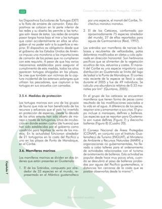 Consejo Nacional de Áreas Protegidas –CONAP–332
Biodiversidad acuáticaBiodiversidad acuática
los Dispositivos Excluidores de Tortugas (DET)
a la flota de arrastre de camarón. Estos dis-
positivos se colocan en la parte inferior de
las redes y su diseño les permite a las tortu-
gas salir ilesas de éstas. Las redes de arrastre
pasan largas horas bajo el mar y las tortugas
que caían accidentalmente en ellas se aho-
gaban al no poder salir a la superficie a res-
pirar. El dispositivo es obligatorio desde que
el gobierno de los Estados Unidos de Améri-
ca impuso una moratoria a las importaciones
de camarón de los países que no cumplieran
con este requisito. A pesar de que hay varios
mecanismos establecidos para asegurar el
cumplimiento de esta medida, todos los años
aparecen tortugas ahogadas en las playas.
Se cree que también son víctimas de la cap-
tura incidental de los extensos palangres que
utilizan los pescadores, que capturan a las
tortugas en sus anzuelos con carnadas.
3.5.4. Medidas de protección
Las tortugas marinas son uno de los grupos
de fauna que más se han beneficiado de los
recursos y esfuerzos que el país ha invertido
en protección de especies. Desde la década
de los años setenta han sido objeto de ma-
nejo a través de tortugarios, sitios de incuba-
ción en donde existen cuotas (de huevos) que
han sido establecidas por el gobierno como
condición para legalizar la venta de los mis-
mos. En la actualidad funcionan alrededor
de 21 tortugarios en la costa del Pacífico y
uno en las playas de Punta de Manabique,
en el Caribe.
3.6. Mamíferos marinos
Los mamíferos marinos se dividen en dos ór-
denes que están presentes en Guatemala:
El de los Sirénidos, compuesto por alre-1.
dedor de 33 especies en el mundo, re-
presentado en el Atlántico guatemalteco
por una especie, el manatí del Caribe, Tri-
chechus manatus manatus.
El de los Cetáceos, conformado por2.
aproximadamente 75 especies alrededor
del mundo, 27 de ellas reportadas para
aguas de Centroamérica (Reid, 1997).
Los sirénidos son mamíferos de narices bul-
bosas y recubiertas de vellosidades, patas
delanteras modificadas en aletas y cola apla-
nada en dirección horizontal. Son herbívoros
pacíficos que se alimentan de la vegetación
acuática de ríos, estuarios y costas. El mana-
tí del Caribe es una especie migratoria cuya
distribución en Guatemala se limita del lago
de Izabal a la Punta de Manabique. El conteo
más reciente de la especie se llevó a cabo
durante el 2005 y fue de 49 individuos. Se
calcula una abundancia relativa de 0.33 ma-
natíes por km2
(Quintana, 2005).
En el grupo de los cetáceos se encuentran
mamíferos que tienen forma de peces como
resultado de las modificaciones asociadas a
la vida en el agua. A diferencia de los peces,
respiran aire y amamantan a sus crías. El gru-
po incluye a marsopas, delfines y ballenas.
Las especies que se reportan para Guatema-
la son nueve delfines (Figura 7) y dieciocho
ballenas (Figura 8) (Cuadro 20).
El Consejo Nacional de Áreas Protegidas
(CONAP), en conjunto con el Instituto Gua-
temalteco de Turismo (INGUAT), el Ministerio
de Ambiente y Recursos Naturales (MARN) y
organizaciones no gubernamentales, ha lle-
vado a cabo talleres para el ordenamiento
de actividades relacionadas con el turismo
de avistamiento de ballenas. Esta actividad es
popular desde hace muy pocos años, cuan-
do se descubrió el paso de ballenas joroba-
das por aguas del Pacífico guatemalteco, a
distancias tan cercanas de la costa que es
posible observarlas desde la misma10
.
Capítulo7
 