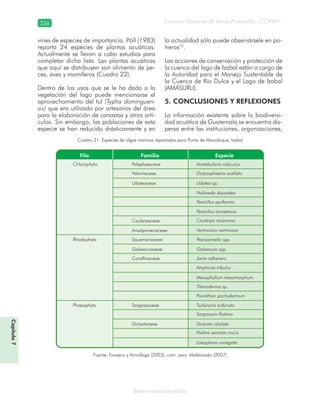 Consejo Nacional de Áreas Protegidas –CONAP–336
Biodiversidad acuática
vines de especies de importancia. Pöll (1983)
reporta 24 especies de plantas acuáticas.
Actualmente se llevan a cabo estudios para
completar dicha lista. Las plantas acuáticas
que aquí se distribuyen son alimento de pe-
ces, aves y mamíferos (Cuadro 22).
Dentro de los usos que se le ha dado a la
vegetación del lago puede mencionarse el
aprovechamiento del tul (Typha dominguen-
sis) que era utilizado por artesanos del área
para la elaboración de canastas y otros artí-
culos. Sin embargo, las poblaciones de esta
especie se han reducido drásticamente y en
la actualidad sólo puede observársele en po-
treros12
.
Las acciones de conservación y protección de
la cuenca del lago de Izabal están a cargo de
la Autoridad para el Manejo Sustentable de
la Cuenca de Río Dulce y el Lago de Izabal
(AMASURLI).
5. CONCLUSIONES Y REFLEXIONES
La información existente sobre la biodiversi-
dad acuática de Guatemala se encuentra dis-
persa entre las instituciones, organizaciones,
Fuente: Fonseca y Arrivillaga (2003); com. pers. Maldonado (2007)
Cuadro 21. Especies de algas marinas reportadas para Punta de Manabique, Izabal
Capítulo7
 