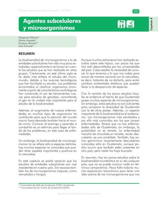 Consejo Nacional de Áreas Protegidas –CONAP– 345
Agentes subcelulares y microorganismos
Agentes subcelulares
y microorganismos
Margarita Palmieri*
Liliana Acevedo*
Gustavo Álvarez**
Jack Schuster*
Capítulo8
* Universidad del Valle de Guatemala (UVG), Guatemala.
** Universidad de San Carlos de Guatemala (USAC).
RESUMEN
La biodiversidad de microorganismos y la de
entidades subcelulares han sido muy poco es-
tudiadas, especialmente si se toman en cuen-
ta los estudios que se han realizado en otros
grupos. Ciertamente, en este último siglo se
ha dado más énfasis al estudio del micro-
mundo, debido a los avances tecnológicos
que han facilitado su estudio. Los problemas
encontrados al clasificar organismos única-
mente a partir de características morfológicas
han conducido al uso de herramientas nue-
vas para estudios de genotipo, convirtiendo
al gen en la unidad más importante para el
estudio de la biodiversidad.
Además, el surgimiento de nuevas enferme-
dades en muchos tipos de organismos ha
contribuido para que la atención del mundo
macro fuera desviada también hacia el mun-
do micro. Conocer al enemigo y aprender a
combatirlo es un estímulo para llegar al fon-
do de los problemas, en este caso de enfer-
medades.
Sin embargo, la biodiversidad de microorga-
nismos no se refiere sólo a especies dañinas,
hay muchas especies no conocidas que pue-
den tener papeles importantes y positivos en
la naturaleza.
En este capítulo se podrá apreciar que los
estudios de entidades subcelulares son casi
inexistentes en nuestro país. Son escasos tam-
bién los de microorganismos mayores, como
nematodos y hongos.
Aunque muchos extranjeros han realizado es-
tudios sobre este tópico, son pocos los que
han sido desarrollados por las universidades
del país. Cabe resaltar la necesidad de cono-
cer lo que tenemos y lo que nos rodea para
actuar de manera racional con la naturaleza,
es decir, tratando de no dañarla, para evitar
cambios ambientales drásticos que puedan
llevar a la desaparición de especies.
Con la revisión de los pocos estudios loca-
les se evidencia el hecho de que Guatemala
posee muchas especies de microorganismos.
Sin embargo, estos estudios no son suficientes
para comparar la diversidad de Guatemala
con la de otros países. Además, un aspecto
importante de la biodiversidad es el endemis-
mo. Los microorganismos más estudiados y
por ello más conocidos son los que causan
enfermedades. Parece que no hay enferme-
dades sólo de Guatemala; sin embargo, la
posibilidad no es remota. La enfermedad
mancha de chocolate en tomate, recién des-
cubierta, es una candidata. También, hay va-
rios geminivirus recientemente descubiertos
conocidos sólo en Guatemala, aunque po-
dría ocurrir que también estén presentes en
otro país, pero nadie los haya buscado.
En resumen, hay tan pocos estudios sobre la
biodiversidad microbiótica en sí, de cualquier
país, que no se puede concluir nada en tér-
minos comparativos. Hace falta todavía mu-
cha exploración taxonómica para tener una
idea acerca de los microorganismos que nos
 
