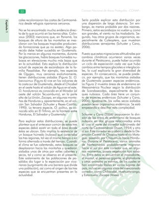 Biodiversidad de Guatemala en relación con su historia geológica y biogeografía
Consejo Nacional de Áreas Protegidas –CONAP–32
ca y biogeografía
Capítulo1
cales recolonizaron las costas de Centroamé-
rica desde refugios riparianos cercanos.
No se ha encontrado mucha evidencia direc-
ta de lo que ocurrió en las tierras altas. Colin-
vaux (2003) menciona que, en Panamá, los
bosques de altura de las montañas se mez-
claron con los bosques tropicales producien-
do formaciones que ya no existen. Algo pa-
recido debe haber sucedido en Guatemala.
Por lo menos en algunos momentos, durante
las glaciaciones, había bosques húmedos nu-
bosos en elevaciones mucho más bajas que
en la actualidad. Esto explica la distribución
actual de especies de escarabajos de la fa-
milia Passalidae. Por ejemplo, tres especies
de Ogyges, muy cercanas evolutivamente,
tienen distribuciones aisladas (Figura 5). O.
laevissimus (Figura 6) vive en los volcanes de
la costa sur de Guatemala, desde el Chicabal
en el oeste hasta el volcán de Agua en el este.
O. hondurensis es conocido en el Mirador (al
oeste del volcán Tecuamburro), en la parte
alta de La Unión, Zacapa, en algunas monta-
ñas de Honduras y, aparentemente, en el vol-
cán San Salvador (Schuster y Reyes-Castillo,
1990). La tercera especie, O. politus, es co-
nocida sólo en El Trifinio, en la frontera entre
Honduras, El Salvador y Guatemala.
Para explicar estas distribuciones, se puede
plantear que el antecesor común de estas tres
especies debió existir en toda el área donde
éstas se ubican. Esto implica la existencia de
un bosque húmedo (nuboso) que conectaba
las tres regiones, tal vez al mismo tiempo o en
forma alternada a través del tiempo. Cuando
el clima se fue calentando, estos bosques se
desplazaron hacia las montañas y quedaron
aislados unos de otros por valles calientes y
secos, tal y como se observa en el presente.
Este aislamiento de las poblaciones de pa-
sálidos dio lugar a la especiación por vica-
rianza (surgimiento de una barrera que divide
una población), así como el origen de las tres
especies que se encuentran presentes en la
actualidad.
Sería posible explicar esta distribución por
una dispersión de larga distancia. Sin em-
bargo, es menos probable por dos razones.
Primero, estos escarabajos no vuelan y, como
son grandes, el viento no los trasladaría. Se-
gundo, hay otros grupos de organismos, es-
pecialmente de Coleoptera, que muestran
distribuciones semejantes (Schuster y Cano,
2006).
Puesto que estas migraciones altitudinales por
cambios climáticos ocurrieron varias veces
durante el Pleistoceno, puede haber ocurrido
un ciclo de especiación cada vez que hubo
cambios entre tiempos glaciales e interglacia-
les, lo cual explicaría la gran diversidad de
especies. En consecuencia, se puede prede-
cir, por ejemplo, que las montañas aisladas
de Guatemala poseen especies endémicas.
La Figura 2 muestra áreas de endemismo en
Mesoamérica Nuclear según la distribución
de Scarabaeoidea, especialmente de bos-
ques nubosos. Cada área tiene un conjun-
to de especies endémicas (Schuster y Cano,
2006). Igualmente, los valles secos aislados
pueden tener organismos endémicos. Se está
empezando a descifrar esta complejidad.
Schuster y Cano (2006) propusieron la divi-
sión de las áreas de endemismo de bosques
nubosos en dos grupos relacionados entre
sí: uno al norte del corredor subhúmedo del
norte de Centroamérica (Stuart, 1954) y otro
al sur. Este corredor seco abarca desde la De-
presión Central de Chiapas hasta el río Mota-
gua, pasando por Chiquimula hacia Hondu-
ras. Durante el Pleistoceno, varios animales
de Norteamérica probablemente migraron
hacia el sur por este corredor que, en algu-
nos momentos, poseía vegetación tipo saba-
na. Entre éstos se encuentran el mastodonte,
el mamut, el perezoso gigante, el gliptodonte
y otros animales ya extintos, de los cuales se
han encontrado fósiles en varios lugares del
país, incluso en algunos sitios del mencionado
corredor, como Chibacabé, Huehuetenango,
y Estanzuela, Zacapa (Anexo 1).
 
