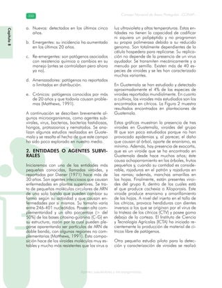 Consejo Nacional de Áreas Protegidas –CONAP–350350
Agentes subcelulares y microorganismosgenAg
Nuevos: detectados en los últimos cincoa.
años.
Emergentes: su incidencia ha aumentadob.
en los últimos 20 años.
Re-emergentes: son patógenos asociadosc.
con resistencia química o cambios en su
manejo (antes se controlaban pero ahora
ya no).
Amenazadores: patógenos no reportadosd.
o limitados en distribución.
Crónicos: patógenos conocidos por máse.
de 20 años y que todavía causan proble-
mas (Matthews, 1991).
A continuación se describen brevemente al-
gunos microorganismos, como agentes sub-
virales, virus, bacterias, bacterias fastidiosas,
hongos, protozoarios y nematodos. Se ana-
lizan algunos estudios realizados en Guate-
mala y se resalta el hecho de que este campo
ha sido poco explorado en nuestro medio.
2. ENTIDADES O AGENTES SUBVI-
RALES
Iniciaremos con una de las entidades más
pequeñas conocidas, llamadas viroides, y
reportadas por Diener (1971) hace más de
30 años. Son agentes infecciosos que causan
enfermedades en plantas superiores. Se tra-
ta de pequeñas moléculas circulares de ARN
de una sola banda que pueden cambiar su
forma según su actividad y que causan en-
fermedades por sí mismos. Su tamaño varía
entre 246-401 nucleótidos. Poseen alta com-
plementaridad y un alto porcentaje (> del
50%) de las bases citosina-guanina (C-G) en
su estructura, razón por la cual pueden ple-
garse aparentando ser partículas de ARN de
doble banda, con algunas regiones no com-
plementarias (Matthews, 1991). Esta compo-
sición hace de los viroides moléculas muy es-
tables y mucho más resistentes que los virus a
luz ultravioleta y altas temperaturas. Estas en-
tidades no tienen la capacidad de codificar
ni siquiera un polipéptido y no programan
su propia polimerasa debido a su reducido
genoma. Son totalmente dependientes de la
célula hospedera para replicarse. Su replica-
ción no depende de la presencia de un virus
ayudador. Se transmiten mecánicamente y a
menudo por semilla. Existen más de 40 es-
pecies de viroides y se les han caracterizado
muchas variantes.
En Guatemala se han estudiado y detectado
aproximadamente el 4% de las especies de
viroides reportadas mundialmente. En cuanto
a cultivos, los viroides más estudiados son los
encontrados en cítricos. La Figura 2 muestra
resultados encontrados en plantaciones de
Guatemala.
Estas gráficas muestran la presencia de tres
viroides en Guatemala, viroides del grupo
III que son poco estudiados porque no han
provocado epidemias y, al parecer, el daño
que causan al árbol, aparte de enanismo, es
mínimo. Además, hay presencia de exocortis,
que es un viroide que se ha encontrado en
Guatemala desde hace muchos años; éste
causa achaparramiento en los árboles, frutos
pequeños y, cuando su cantidad es conside-
rable, rajaduras en el patrón y rajaduras en
las ramas; además, manchas amarillas en
las hojas. Finalmente, están presentes viroi-
des del grupo II, dentro de los cuales está
el que produce cachexia o Xiloporosis. Este
viroide produce enanismo y amarillamiento
de las hojas. A nivel del injerto en el tallo de
los cítricos, provoca hendiduras con dientes
inversos a los que se originan por el virus de
la tristeza de los cítricos (CTV) y posee goma
debajo de la corteza. El Instituto de Ciencia
y Tecnología Agrícolas (ICTA) ha iniciado re-
cientemente la producción de material de cí-
tricos libre de patógenos.
Otro pequeño estudio piloto para la detec-
ción y caracterización de viroides se realizó
Capítulo8
 