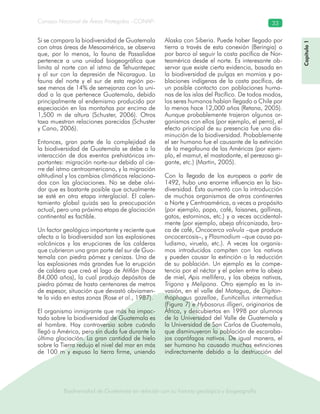 Biodiversidad de Guatemala en relación con su historia geológica y biogeografía
Consejo Nacional de Áreas Protegidas –CONAP– 33
Biodiversidad de Guatemala en relación con su historia geológica y biogeografía
Si se compara la biodiversidad de Guatemala
con otras áreas de Mesoamérica, se observa
que, por lo menos, la fauna de Passalidae
pertenece a una unidad biogeográfica que
limita al norte con el istmo de Tehuantepec
y al sur con la depresión de Nicaragua. La
fauna del norte y el sur de esta región po-
see menos de 14% de semejanza con la uni-
dad a la que pertenece Guatemala, debido
principalmente al endemismo producido por
especiación en las montañas por encima de
1,500 m de altura (Schuster, 2006). Otros
taxa muestran relaciones parecidas (Schuster
y Cano, 2006).
Entonces, gran parte de la complejidad de
la biodiversidad de Guatemala se debe a la
interacción de dos eventos prehistóricos im-
portantes: migración norte-sur debido al cie-
rre del istmo centroamericano, y la migración
altitudinal y los cambios climáticos relaciona-
dos con las glaciaciones. No se debe olvi-
dar que es bastante posible que actualmente
se esté en otra etapa interglacial. El calen-
tamiento global quizás sea la preocupación
actual, pero una próxima etapa de glaciación
continental es factible.
Un factor geológico importante y reciente que
afecta a la biodiversidad son las explosiones
volcánicas y las erupciones de las calderas
que cubrieron una gran parte del sur de Gua-
temala con piedra pómez y cenizas. Una de
las explosiones más grandes fue la erupción
de caldera que creó el lago de Atitlán (hace
84,000 años), la cual produjo depósitos de
piedra pómez de hasta centenares de metros
de espesor, situación que devastó obviamen-
te la vida en estas zonas (Rose et al., 1987).
El organismo inmigrante que más ha impac-
tado sobre la biodiversidad de Guatemala es
el hombre. Hay controversia sobre cuándo
llegó a América, pero sin duda fue durante la
última glaciación. La gran cantidad de hielo
sobre la Tierra redujo el nivel del mar en más
de 100 m y expuso la tierra firme, uniendo
Alaska con Siberia. Puede haber llegado por
tierra a través de esta conexión (Beringia) o
por barco al seguir la costa pacífica de Nor-
teamérica desde el norte. Es interesante ob-
servar que existe cierta evidencia, basada en
la biodiversidad de pulgas en momias y po-
blaciones indígenas de la costa pacífica, de
un posible contacto con poblaciones huma-
nas de las islas del Pacífico. De todos modos,
los seres humanos habían llegado a Chile por
lo menos hace 12,000 años (Retana, 2005).
Aunque probablemente trajeron algunos or-
ganismos con ellos (por ejemplo, el perro), el
efecto principal de su presencia fue una dis-
minución de la biodiversidad. Probablemente
el ser humano fue el causante de la extinción
de la megafauna de las Américas (por ejem-
plo, el mamut, el mastodonte, el perezoso gi-
gante, etc.) (Martin, 2005).
Con la llegada de los europeos a partir de
1492, hubo una enorme influencia en la bio-
diversidad. Ésta aumentó con la introducción
de muchos organismos de otros continentes
a Norte y Centroamérica, a veces a propósito
(por ejemplo, papa, café, faisanes, gallinas,
gatos, estorninos, etc.) y a veces accidental-
mente (por ejemplo, abeja africanizada, bro-
ca de café, Oncocerca volvula –que produce
oncocercosis–, y Plasmodium –que causa pa-
ludismo, viruela, etc.). A veces los organis-
mos introducidos compiten con los nativos
y pueden causar la extinción o la reducción
de su población. Un ejemplo es la compe-
tencia por el néctar y el polen entre la abeja
de miel, Apis mellifera, y las abejas nativas,
Trigona y Melipona. Otro ejemplo es la in-
vasión, en el valle del Motagua, de Digiton-
thophagus gazellae, Euniticellus intermedius
(Figura 7) e Hybosorus illigeri, originarios de
África, y descubiertos en 1998 por alumnos
de la Universidad del Valle de Guatemala y
la Universidad de San Carlos de Guatemala,
que disminuyeron la población de escaraba-
jos coprófagos nativos. De igual manera, el
ser humano ha causado muchas extinciones
indirectamente debido a la destrucción del
Capítulo1
 
