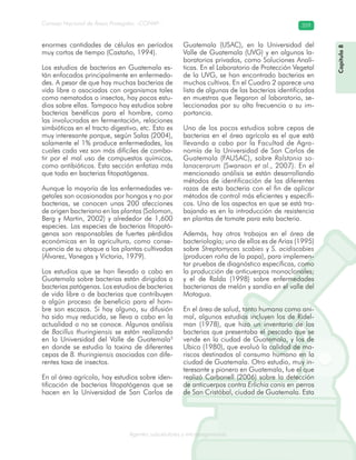 Consejo Nacional de Áreas Protegidas –CONAP– 359
Agentes subcelulares y microorganismosrooorganismos
enormes cantidades de células en períodos
muy cortos de tiempo (Castaño, 1994).
Los estudios de bacterias en Guatemala es-
tán enfocados principalmente en enfermeda-
des. A pesar de que hay muchas bacterias de
vida libre o asociadas con organismos tales
como nematodos o insectos, hay pocos estu-
dios sobre ellas. Tampoco hay estudios sobre
bacterias benéficas para el hombre, como
las involucradas en fermentación, relaciones
simbióticas en el tracto digestivo, etc. Esto es
muy interesante porque, según Salas (2004),
solamente el 1% produce enfermedades, las
cuales cada vez son más difíciles de comba-
tir por el mal uso de compuestos químicos,
como antibióticos. Esta sección enfatiza más
que todo en bacterias fitopatógenas.
Aunque la mayoría de las enfermedades ve-
getales son ocasionadas por hongos y no por
bacterias, se conocen unas 200 afecciones
de origen bacteriano en las plantas (Solomon,
Berg y Martin, 2002) y alrededor de 1,600
especies. Las especies de bacterias fitopató-
genas son responsables de fuertes pérdidas
económicas en la agricultura, como conse-
cuencia de su ataque a las plantas cultivadas
(Álvarez, Vanegas y Victoria, 1979).
Los estudios que se han llevado a cabo en
Guatemala sobre bacterias están dirigidos a
bacterias patógenas. Los estudios de bacterias
de vida libre o de bacterias que contribuyen
a algún proceso de beneficio para el hom-
bre son escasos. Si hay alguno, su difusión
ha sido muy reducida, se lleva a cabo en la
actualidad o no se conoce. Algunos análisis
de Bacillus thuringiensis se están realizando
en la Universidad del Valle de Guatemala3
en donde se estudia la toxina de diferentes
cepas de B. thuringiensis asociadas con dife-
rentes taxa de insectos.
En al área agrícola, hay estudios sobre iden-
tificación de bacterias fitopatógenas que se
hacen en la Universidad de San Carlos de
Guatemala (USAC), en la Universidad del
Valle de Guatemala (UVG) y en algunos la-
boratorios privados, como Soluciones Analí-
ticas. En el Laboratorio de Protección Vegetal
de la UVG, se han encontrado bacterias en
muchos cultivos. En el Cuadro 2 aparece una
lista de algunas de las bacterias identificadas
en muestras que llegaron al laboratorio, se-
leccionadas por su alta frecuencia o su im-
portancia.
Uno de los pocos estudios sobre cepas de
bacterias en el área agrícola es el que está
llevando a cabo por la Facultad de Agro-
nomía de la Universidad de San Carlos de
Guatemala (FAUSAC), sobre Ralstonia so-
lanacerarum (Swanson et al., 2007). En el
mencionado análisis se están desarrollando
métodos de identificación de las diferentes
razas de esta bacteria con el fin de aplicar
métodos de control más eficientes y específi-
cos. Uno de los aspectos en que se está tra-
bajando es en la introducción de resistencia
en plantas de tomate para esta bacteria.
Además, hay otros trabajos en el área de
bacteriología; uno de ellos es de Arias (1995)
sobre Streptomyces scabies y S. acidiscabies
(producen roña de la papa), para implemen-
tar pruebas de diagnóstico específicas, como
la producción de anticuerpos monoclonales;
y el de Ralda (1998) sobre enfermedades
bacterianas de melón y sandía en el valle del
Motagua.
En el área de salud, tanto humana como ani-
mal, algunos estudios incluyen los de Ridel-
man (1978), que hizo un inventario de las
bacterias que presentaba el pescado que se
vende en la ciudad de Guatemala, y los de
Ubico (1980), que evaluó la calidad de ma-
riscos destinados al consumo humano en la
ciudad de Guatemala. Otro estudio, muy in-
teresante y pionero en Guatemala, fue el que
realizó Carbonell (2006) sobre la detección
de anticuerpos contra Erlichia canis en perros
de San Cristóbal, ciudad de Guatemala. Esta
Capítulo8
 