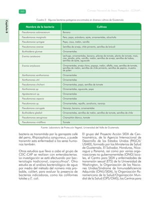 Consejo Nacional de Áreas Protegidas –CONAP–360360
Agentes subcelulares y microorganismos
bacteria es transmitida por la garrapata café
del perro, Rhipicephalus sanguineus, y puede
transmitir esta enfermedad a los seres huma-
nos también.
Otros estudios que lleva a cabo el grupo de
CDC-CAP se realizan con enterobacterias.
La investigación se está efectuando por bac-
teriología tradicional, coprocultivos4
. Otro
estudio es el análisis bacteriológico de agua
por medio del método del número más pro-
bable, colilert, para evaluar la presencia de
bacterias indicadoras, como las coliformes
totales y E. coli.
El grupo del Proyecto Acción SIDA de Cen-
troamérica, de la Agencia Internacional de
Desarrollo de los Estados Unidos (PASCA/
USAID), formado por los Ministerios de Salud
de Guatemala, El Salvador, Honduras, Nica-
ragua y Panamá, así como por varias orga-
nizaciones no gubernamentales (ONG) loca-
les, el Centro para SIDA y enfermedades de
transmsión sexual (ETS) de la Universidad de
Washington, la Organización de las Nacio-
nes Unidas/Síndrome de Inmunodeficiencia
Adquirida (ONU/SIDA), la Organización Pa-
namericana de la Salud/Organización Mun-
dial de la Salud (OPS/OMS), los Centros para
Cuadro 2. Algunas bacterias patógenas encontradas en diversos cultivos de Guatemala
Fuente: Laboratorio de Protección Vegetal, Universidad del Valle de Guatemala
Capítulo8
 