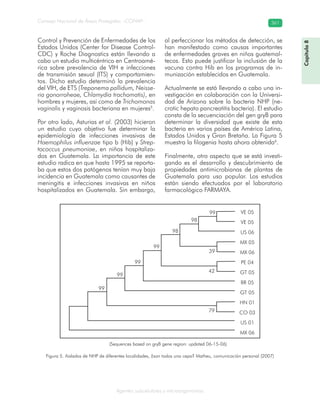 Consejo Nacional de Áreas Protegidas –CONAP– 361
Agentes subcelulares y microorganismos
Figura 5. Aislados de NHP de diferentes localidades, ¿son todos una cepa? Matheu, comunicación personal (2007)
Capítulo8
Control y Prevención de Enfermedades de los
Estados Unidos (Center for Disease Control-
CDC) y Roche Diagnostics están llevando a
cabo un estudio multicéntrico en Centroamé-
rica sobre prevalencia de VIH e infecciones
de transmisión sexual (ITS) y comportamien-
tos. Dicho estudio determinó la prevalencia
del VIH, de ETS (Treponema pallidum, Neisse-
ria gonorroheae, Chlamydia trachomatis), en
hombres y mujeres, así como de Trichomonas
vaginalis y vaginosis bacteriana en mujeres5
.
Por otro lado, Asturias et al. (2003) hicieron
un estudio cuyo objetivo fue determinar la
epidemiología de infecciones invasivas de
Haemophilus influenzae tipo b (Hib) y Strep-
tococcus pneumoniae, en niños hospitaliza-
dos en Guatemala. La importancia de este
estudio radica en que hasta 1995 se reporta-
ba que estos dos patógenos tenían muy baja
incidencia en Guatemala como causantes de
meningitis e infecciones invasivas en niños
hospitalizados en Guatemala. Sin embargo,
al perfeccionar los métodos de detección, se
han manifestado como causas importantes
de enfermedades graves en niños guatemal-
tecos. Esto puede justificar la inclusión de la
vacuna contra Hib en los programas de in-
munización establecidos en Guatemala.
Actualmente se está llevando a cabo una in-
vestigación en colaboración con la Universi-
dad de Arizona sobre la bacteria NHP (ne-
crotic hepato pancreatitis bacteria). El estudio
consta de la secuenciación del gen gryB para
determinar la diversidad que existe de esta
bacteria en varios países de América Latina,
Estados Unidos y Gran Bretaña. La Figura 5
muestra la filogenia hasta ahora obtenida6
.
Finalmente, otro aspecto que se está investi-
gando es el desarrollo y descubrimiento de
propiedades antimicrobianas de plantas de
Guatemala para uso popular. Los estudios
están siendo efectuados por el laboratorio
farmacológico FARMAYA.
(Sequences based on gryB gene region: updated 06-15-06)
99
99
99
99
98
98
99
39
42
79
VE 05
VE 05
US 06
MX 05
MX 06
PE 04
GT 05
BR 05
GT 05
HN 01
CO 03
US 01
MX 06
 