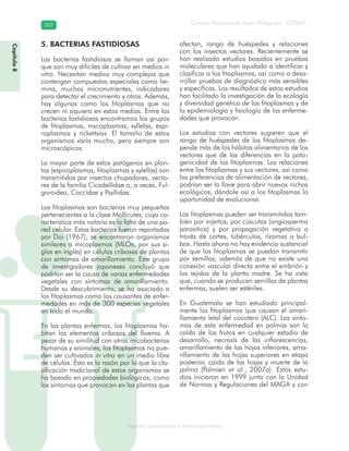 Consejo Nacional de Áreas Protegidas –CONAP–362362
Agentes subcelulares y microorganismosgenAg
5. BACTERIAS FASTIDIOSAS
Las bacterias fastidiosas se llaman así por-
que son muy difíciles de cultivar en medios in
vitro. Necesitan medios muy complejos que
contengan compuestos especiales como he-
mina, muchos micronutrientes, indicadores
para detectar el crecimiento y otros. Además,
hay algunas como los fitoplasmas que no
crecen ni siquiera en estos medios. Entre las
bacterias fastidiosas encontramos los grupos
de fitoplasmas, mycoplasmas, xyllelas, espi-
roplasmas y rickettsias. El tamaño de estos
organismos varía mucho, pero siempre son
microscópicos.
La mayor parte de estos patógenos en plan-
tas (espiroplasmas, fitoplasmas y xylellas) son
transmitidos por insectos chupadores, vecto-
res de la familia Cicadellidae o, a veces, Ful-
goroidea, Coccidae y Psyllidae.
Los fitoplasmas son bacterias muy pequeñas
pertenecientes a la clase Mollicutes, cuya ca-
racterística más notoria es la falta de una pa-
red celular. Estas bacterias fueron reportadas
por Doi (1967); se encontraron organismos
similares a micoplasmas (MLOs, por sus si-
glas en inglés) en células cribosas de plantas
con síntomas de amarillamiento. Este grupo
de investigadores japoneses concluyó que
podrían ser la causa de varias enfermedades
vegetales con síntomas de amarillamiento.
Desde su descubrimiento, se ha asociado a
los fitoplasmas como los causantes de enfer-
medades en más de 300 especies vegetales
en todo el mundo.
En las plantas enfermas, los fitoplasmas ha-
bitan los elementos cribosos del floema. A
pesar de su similitud con otras micobacterias
humanas y animales, los fitoplasmas no pue-
den ser cultivados in vitro en un medio libre
de células. Ésta es la razón por la que la cla-
sificación tradicional de estos organismos se
ha basado en propiedades biológicas, como
los síntomas que provocan en las plantas que
afectan, rango de huéspedes y relaciones
con los insectos vectores. Recientemente se
han realizado estudios basados en pruebas
moleculares que han ayudado a identificar y
clasificar a los fitoplasmas, así como a desa-
rrollar pruebas de diagnóstico más sensibles
y específicas. Los resultados de estos estudios
han facilitado la investigación de la ecología
y diversidad genética de los fitoplasmas y de
la epidemiología y fisiología de las enferme-
dades que provocan.
Los estudios con vectores sugieren que el
rango de huéspedes de los fitoplasmas de-
pende más de los hábitos alimentarios de los
vectores que de las diferencias en la pato-
genicidad de los fitoplasmas. Las relaciones
entre los fitoplasmas y sus vectores, así como
las preferencias de alimentación de vectores,
podrían ser la llave para abrir nuevos nichos
ecológicos, dándole así a los fitoplasmas la
oportunidad de evolucionar.
Los fitoplasmas pueden ser transmitidos tam-
bién por injertos, por cúscutas (angiosperma
parasítica) y por propagación vegetativa a
través de cortes, tubérculos, rizomas o bul-
bos. Hasta ahora no hay evidencia sustancial
de que los fitoplasmas se puedan transmitir
por semillas; además de que no existe una
conexión vascular directa entre el embrión y
los tejidos de la planta madre. Se ha visto
que, cuando se producen semillas de plantas
enfermas, suelen ser estériles.
En Guatemala se han estudiado principal-
mente los fitoplasmas que causan el amari-
llamiento letal del cocotero (ALC). Los sínto-
mas de esta enfermedad en palmas son la
caída de los frutos en cualquier estadio de
desarrollo, necrosis de las inflorescencias,
amarillamiento de las hojas inferiores, ama-
rillamiento de las hojas superiores en etapa
posterior, caída de las hojas y muerte de la
palma (Palmieri et al., 2007a). Estos estu-
dios iniciaron en 1999 junto con la Unidad
de Normas y Regulaciones del MAGA y con
Capítulo8
 