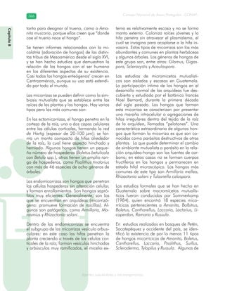 Consejo Nacional de Áreas Protegidas –CONAP–366366
Agentes subcelulares y microorganismosgenAg
tanto para designar al trueno, como a Ama-
nita muscaria, porque ellos creen que “donde
cae el trueno nace el hongo”.
Se tienen informes relacionados con la mi-
colatría (adoración de hongos) de las distin-
tas tribus de Mesoamérica desde el siglo XVI,
y se han hecho estudios que demuestran la
relación de los hongos con el ser humano
en los diferentes aspectos de su existencia.
Casi todos los hongos enteógenos7
crecen en
Centroamérica, aunque su uso está extendi-
do por todo el mundo.
Las micorrizas se pueden definir como la sim-
biosis mutualista que se establece entre las
raíces de las plantas y los hongos. Hay varios
tipos pero las más comunes son:
En las ectomicorrizas, el hongo penetra en la
corteza de la raíz, una o dos capas celulares
entre las células corticales, formando la red
de Hartig (espesor de 20-100 μm); se for-
ma un manto compacto de hifas alrededor
de la raíz, la cual tiene aspecto hinchado y
herniado. Algunos hongos tienen un peque-
ño número de hospederos (Boletus betulicola
con Betula spp.), otros tienen un amplio ran-
go de hospederos, como Pisolithus tinctorius
con más de 46 especies de ocho géneros de
árboles.
Las endomicorrizas son hongos que penetran
las células hospederas sin alteración celular,
y forman enrollamientos. Son hongos sapró-
fitos muy eficientes. Generalmente, son los
que se encuentran en orquídeas (micorrizó-
geno: promueve formación de raicillas). Al-
gunos son patógenos, como Armillaria, Ma-
rasmius y Rhizoctonia solani.
Dentro de las endomicorrizas se encuentra
el subgrupo de las micorrizas vesículo arbus-
culares: en este caso las hifas penetran la
planta creciendo a través de las células cor-
ticales de la raíz; forman vesículas hinchadas
y arbúsculos muy ramificados, el micelio ex-
terno es relativamente escaso y no se forma
manto externo. Coloniza raíces jóvenes y la
hifa penetra sin atravesar el plasmalema, el
cual se invagina para acoplarse a la hifa in-
vasora. Estos tipos de micorrizas son los más
abundantes y comunes en plantas herbáceas
y algunos árboles. Los géneros de hongos de
este grupo son, entre otros: Glomus, Gigas-
pora, Sclerocystis y Acaulospora.
Los estudios de micromicetos mutualísti-
cos son aislados y escasos en Guatemala.
La participación íntima de los hongos en el
desarrollo normal de las orquídeas fue des-
cubierta y estudiada por el botánico francés
Noel Bernard, durante la primera década
del siglo pasado. Los hongos que forman
esta micorriza se caracterizan por presentar
una maraña intracelular o agregaciones de
hifas irregulares dentro del tejido de la raíz
de la orquídea, llamadas “pelotones”. Una
característica extraordinaria de algunos hon-
gos que forman la micorriza es que son co-
nocidos como parásitos destructivos de otras
plantas. Lo que puede determinar el cambio
de simbionte mutualista a parásito en la rela-
ción orquídea-hongo son las fuentes de car-
bono; en estos casos no se forman cuerpos
fructíferos en los hongos y permanecen en
estado hifal microscópico. Los hongos más
comunes de este tipo son Armillaria mellea,
Rhizoctonia solani y Tulasnella calospora.
Los estudios formales que se han hecho en
Guatemala sobre macromicetos mutualís-
ticos fueron conducidos por Sommerkamp
(1984), quien encontró 18 especies mico-
rrícicas pertenecientes a Amanita, Bolbitius,
Boletus, Cantharellus, Laccaria, Lactarius, Li-
coperdon, Ramaria y Russula.
En estudios realizados en bosques de Petén,
Sacatepéquez y occidente del país, se iden-
tificó la existencia de por lo menos 11 tipos
de hongos micorrícicos de Amanita, Boletus,
Cantharellus, Laccaria, Pisolithus, Suillus,
Scleroderma, Tylopilus y Russula. Algunos de
Capítulo8
 