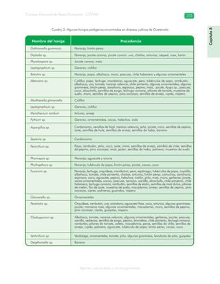 Consejo Nacional de Áreas Protegidas –CONAP– 373
Agentes subcelulares y microorganismos
Cuadro 3. Algunos hongos patógenos encontrados en diversos cultivos de Guatemala
Capítulo8
 