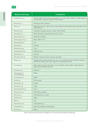 Consejo Nacional de Áreas Protegidas –CONAP–374374
Agentes subcelulares y microorganismos
Capítulo8
Fuente: Laboratorio de Protección Vegetal de la Universidad del Valle de Guatemala
 