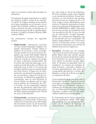 Consejo Nacional de Áreas Protegidas –CONAP– 377
Agentes subcelulares y microorganismosrooorganismos
lugar a numerosas células denominadas es-
porozoitos.
El transporte de gases respiratorios se realiza
por difusión simple a través de la membra-
na celular. El oxígeno también entra disuelto
en el agua absorbida con el alimento. La ex-
pulsión del anhídrido carbónico también se
hace a través de vacuolas contráctiles que, al
estar llenas de agua donde va disuelto el gas,
se abren y lo liberan al exterior (Brooks, Batel
y Morse, 2002).
Los protozoarios incluyen los siguientes
grupos:
Diplomonada:• protozoarios primitivos
con dos núcleos haploides y flagelos. No
poseen mitocondrias. Giardia infecta el
intestino de humanos y otros animales.
Giardia lamblia es el único protozoo fla-
gelado que causa enfermedad intestinal
manifestada como diarrea infecciosa. Se
adquiere cuando se ingieren los quistes
en agua o alimentos contaminados. Por
la acción del ácido del estómago, se di-
suelve la pared del quiste y se liberan los
trofozoítos que se fijan a la mucosa del
duodeno donde se siguen reproduciendo
por fisión binaria. Al pasar por el colon,
se forman nuevamente los quistes que sa-
len con las heces, y sigue el ciclo de con-
taminación. La distribución geográfica es
cosmopolita, pero es más frecuente en
climas cálidos y se observa más en niños
que en adultos. En Guatemala, de 1941
a la fecha, se han presentado trabajos
de tesis de graduación sobre dicho pro-
tozoario. Datos actualizados hasta marzo
de 2007 reportan giardiasis en el 19% de
los niños en Guatemala8
.
Trichomonada:• protozoarios primitivos,
flagelados, sin mitocondrias. Trichomonas
vaginalis es importante como enfermedad
de transmisión sexual. Es de transmisión
exclusivamente sexual. Mide de 10 a 20
μm, sólo existe en forma de trofozoítos;
de forma ovalada, posee cuatro flagelos
y una membrana ondulante. Causa trico-
moniasis, la cual produce más manifes-
taciones clínicas en mujeres de 25 a 49
años, y llega a causar infertilidad en casos
crónicos. Un estudio, efectuado en Guate-
mala por la Asociación Probienestar de la
Familia (APROFAM) en 2002, demuestra
que la tricomoniasis en Guatemala tiene
una prevalencia del 4%, lo que coincide
con la información mundial (Acevedo,
2002). Los protozoarios flagelados que
se caracterizan por ser “comensales” del
sistema gastrointestinal son Trichomonas
hominis y Chilomastix mesnili, los cuales
no requieren tratamiento, sino cambio de
hábitos alimenticios e higiénicos.
Sarcodina:• formado por las amebas,
cuya forma de locomoción es por seudó-
podos (falsos pies) que también poseen
la función de captura de alimento. Englo-
ba el alimento una vacuola digestiva en
cuyo interior se secretan enzimas diges-
tivas. El alimento es absorbido hacia el
citoplasma. La mayoría son parásitos de
seres humanos y animales y habitan en
el tracto gastrointestinal, pero otros son
componentes del plancton y emiten seu-
dópodos a través de orificios que hay en
su caparazón de sílice.
Como representante de este grupo está la
Entamoeba histolytica9
, que se encuentra
en el agua y alimentos contaminados con
heces. Produce la “disentería”, que se ca-
racteriza por diarrea con moco, sangre y
pus. La enfermedad es propia de países
tropicales y puede causar no sólo enfer-
medad intestinal sino extraintestinal.
En Guatemala se han hecho trabajos de
tesis de graduación desde 1909 sobre
este protozoo. En una evaluación efec-
tuada por el Instituto de Nutrición de
Centroamérica y Panamá (INCAP), en
Capítulo8
 