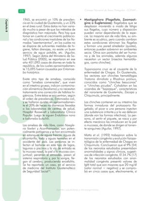 Consejo Nacional de Áreas Protegidas –CONAP–378378
Agentes subcelulares y microorganismosgenAg
1965, se encontró un 10% de prevalen-
cia en la ciudad de Guatemala, y un 23%
en el área rural. Estos datos no han varia-
do mucho a pesar de que los métodos de
diagnóstico han mejorado. Pero hay que
tomar en cuenta el crecimiento poblacio-
nal y las condiciones insalubres de los lla-
mados “asentamientos”, en los cuales no
se dispone de suficientes medidas de hi-
giene, faltan drenajes, no existe un buen
servicio de agua potable, etc. (Aguilar,
1997). Según datos del Ministerio de Sa-
lud Pública (2005), se reportaron en ese
año 401,092 casos de diarrea en toda la
república, de los cuales aproximadamen-
te 15,095 fueron causados por Entamoe-
ba histolytica.
Existe otro tipo de amebas, conocido
como “amebas comensales”, que viven
en el intestino grueso, indican contamina-
ción alimenticia (fecalismo) y no necesitan
tratamiento sino corrección de hábitos hi-
giénicos. Entre éstas se encuentran, según
el orden de prevalencia, Entamoeba coli,
y se hallaron quistes en aproximadamen-
te el 30% de heces no diarreicas llevadas
a los laboratorios de centros de salud,
Hospital Roosevelt y Laboratorio Clínico
Popular. Luego le siguen Endolimax nana
e Iodameba butschlii.
Las amebas de vida libre, como Naegle-
ria fowleri y Acanthamoeba, son poten-
cialmente patógenas y se han encontrado
en estanques de aguas frescas, aguas de
alcantarilla, lodo y aguas termales en el
occidente del país. Las personas se in-
fectan al bañarse en este tipo de lagos,
lagunas o piscinas y la vía de entrada es
la mucosa nasal, la piel o la mucosa con-
juntival; penetran el etmoides, pasan al
sistema respiratorio y, por la sangre, lle-
gan al cerebro, produciendo encefalitis.
Se ha reportado un caso, en el servicio
de medicina del Instituto Guatemalteco
de Seguridad Social10
.
Mastigophora (Flagellata, Zoomasti-•
gina o Euglenozoa): flagelados que se
desplazan moviendo a modo de látigo
sus flagelos, cuyo número y disposición
pueden variar dependiendo de la espe-
cie. La mayoría son de vida libre, su am-
biente es acuático, pero cuando cambian
estas condiciones eliminan los flagelos
y forman una pared alrededor (quistes),
entonces pueden sobrevivir en ambientes
secos. Otros son parásitos del ser huma-
no y de los animales, además algunos
necesitan un vector (insectos hematófa-
gos, como chinches).
Trypanosoma cruzi es el causante de la
enfermedad de Chagas. En Guatemala,
los vectores son chinches hematófagas
Triatoma dimidiata y Rhodnius prolixus,
conocidos como “chinches besuconas”
o “chinches picudas”. Cohabitan en las
viviendas de “bajareque”, características
del nororiente de Guatemala, Zacapa y
Chiquimula, principalmente.
Las chinches contienen en su intestino las
formas inmaduras del protozoario fla-
gelado; al picar a una persona inyectan
una substancia irritante y a la vez defecan
(donde van las formas infectivas). La per-
sona, al sentir el piquete, se rasca y por
efecto mecánico las introducen en la piel
o mucosas, de donde se dirigen al torren-
te sanguíneo (Aguilar, 1997).
Matta et al. (1992) trabajaron sobre la
transmisión congénita y evolución fisiopa-
tológica de la enfermedad de Chagas en
Chiquimula. Concluyeron que el 9% (54)
de los neonatos estudiados presentaban
anormalidades y signos clínicos, sugesti-
vos de infección congénita. El 34.7% (17)
de los neonatos estudiados con anor-
malidad congénita presentó valores de
IgM total que son mayores que 20 mg/dl
(valor normal = negativo) y se compro-
bó en cinco casos que, efectivamente, sí
Capítulo8
 