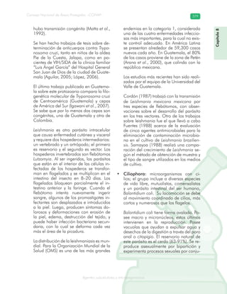 Consejo Nacional de Áreas Protegidas –CONAP– 379
Agentes subcelulares y microorganismosrooorganismos
hubo transmisión congénita (Matta et al.,
1992).
Se han hecho trabajos de tesis sobre de-
terminación de anticuerpos contra Trypa-
nosoma cruzi, tanto en niños de la aldea
Pie de la Cuesta, Jalapa, como en pa-
cientes de VIH/SIDA de la clínica familiar
“Luis Ángel García” del Hospital General
San Juan de Dios de la ciudad de Guate-
mala (Aguilar, 2005; López, 2006).
El último trabajo publicado en Guatema-
la sobre este protozoario compara la filo-
genética molecular de Trypanosoma cruzi
de Centroamérica (Guatemala) y cepas
de América del Sur (Igawani et al., 2007).
Se sabe que por lo menos dos cepas son
congénitas, una de Guatemala y otra de
Colombia.
Leishmania es otro parásito intracelular
que causa enfermedad cutánea y visceral
y requiere dos hospederos intermediarios:
un vertebrado y un artrópodo; el primero
es reservorio y el segundo es vector. Los
hospederos invertebrados son flebótomos
Lutzomyia. Al ser ingeridos, los parásitos
que están en el interior de las células in-
fectadas de los hospederos se transfor-
man en flagelados y se multiplican en el
intestino del insecto en 8–20 días. Los
flagelados bloquean parcialmente el in-
testino anterior y la faringe. Cuando el
flebótomo intenta nuevamente ingerir
sangre, algunos de los promastigotes in-
fectantes son desplazados e introducidos
a la piel. Luego, producen síntomas do-
lorosos y deformaciones con erosión de
la piel, edema, destrucción del tejido, y
puede haber infección bacteriana secun-
daria, con lo cual se deforma cada vez
más el área de la picadura.
La distribución de la leishmaniasis es mun-
dial. Para la Organización Mundial de la
Salud (OMS) es una de las más grandes
endemias en la categoría 1, considerada
una de las cuatro enfermedades infeccio-
sas más importantes, para la cual no exis-
te control adecuado. En América Latina
se presentan alrededor de 59,300 casos
nuevos cada año. En Guatemala, el 80%
de los casos proviene de la zona de Petén
(Arana et al., 2000), que colinda con la
república mexicana.
Los estudios más recientes han sido reali-
zados por el equipo de la Universidad del
Valle de Guatemala.
Cordón (1987) trabajó con la transmisión
de Leishmania mexicana mexicana por
tres especies de flebótomos, con obser-
vaciones sobre el desarrollo del parásito
en los tres vectores. Otro de los trabajos
sobre leishmania fue el que llevó a cabo
Fuentes (1988) acerca de la evaluación
de cinco agentes antimicrobiales para la
eliminación de contaminación microbia-
na en el cultivo de Leishmania brazilien-
sis. Samayoa (1988) realizó una compa-
ración del crecimiento de Leishmania se-
gún el método de obtención de muestra y
el tipo de sangre utilizados en los medios
de cultivo.
Ciliophora:• microorganismos con ci-
lios; el grupo incluye a diversas especies
de vida libre, mutualistas, comensalistas
y un parásito intestinal del ser humano,
Balantidium coli. Su locomoción se debe
al movimiento coordinado de cilios, más
cortos y numerosos que los flagelos.
Balantidium coli tiene forma ovalada. Po-
see macro y micronúcleos, estos últimos
intervienen en la reproducción. Posee
vacuolas que ayudan a expulsar agua y
desechos de la digestión a través del poro
anal o citopigio. El reservorio natural de
este parásito es el cerdo (63-91%). Se re-
produce asexualmente por bipartición y
experimenta procesos sexuales por conju-
Capítulo8
 