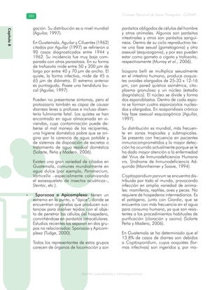 Consejo Nacional de Áreas Protegidas –CONAP–380380
Agentes subcelulares y microorganismosgenAg
gación. Su distribución es a nivel mundial
(Aguilar, 1997).
En Guatemala, Aguilar y Cifuentes (1962)
citados por Aguilar (1997) se refirieron a
90 casos diagnosticados entre 1944 y
1962. Su incidencia fue muy baja com-
parada con otras parasitosis. En su forma
de trofozoito mide entre 50 y 200 μm de
largo por entre 40 y 70 μm de ancho. El
quiste, la forma infectiva, mide de 45 a
65 μm de diámetro. El extremo anterior
es puntiagudo. Posee una hendidura bu-
cal (Aguilar, 1997).
Pueden no presentarse síntomas, pero el
protozoario también es capaz de causar
diarreas leves a profusas e incluso disen-
tería fulminante fatal. Los quistes se han
encontrado en agua almacenada en vi-
viendas, cuya contaminación puede de-
berse al mal manejo de los recipientes,
una higiene doméstica pobre que se ori-
gina por la carencia de agua potable y
de sistemas de disposición de excretas o
tratamiento de agua residual doméstica
(Solarte, Peña y Madero, 2006).
Existen una gran variedad de ciliados en
Guatemala, comunes mundialmente en
agua dulce (por ejemplo, Paramecium,
Vorticella –especialmente colonizando
el exoesqueleto de insectos acuáticos–,
Stentor, etc.).
Sporozoa o Apicomplexa:• tienen un
extremo en la punta, o “ápice”, donde se
encuentran organelas que producen sus-
tancias para disolver tejidos con el obje-
to de penetrar las células del hospedero,
convirtiéndose en parásitos intracelulares.
Estudios recientes las separan en dos gru-
pos no relacionados: Sporozoa y Apicom-
plexa (Tudge, 2000).
Todos los representantes de estos grupos
carecen de órganos de locomoción y son
parásitos obligados de células del hombre
y otros animales. Algunos son parásitos
intestinales y otros son parásitos sanguí-
neos. Dentro de su ciclo reproductivo tie-
ne una fase sexual (gametogonia) y otra
asexual (esquizogonia), y por eso pueden
estar como gameto o cigoto y trofozoito,
respectivamente (Murray et al., 2006).
Isospora belli se multiplica sexualmente
en el intestino humano, produce ooquis-
tes ovoides alargados de 25-33 x 12-16
μm, con pared quística asimétrica, cito-
plasma granuloso y un núcleo (estadío
diagnóstico). El núcleo se divide y forma
dos esporoblastos. Dentro de cada espo-
ra se forman cuatro esporozoitos nuclea-
dos y alargados. En isosporidiasis crónica
hay fase asexual esquizogónica (Aguilar,
1997).
Su distribución es mundial, más frecuen-
te en zonas tropicales y subtropicales.
Se presenta con frecuencia en pacientes
inmunocomprometidos y la mayor detec-
ción ha ocurrido actualmente porque se le
ha dado mayor atención a la enfermedad
del Virus de Inmunodeficiencia Humana
vrs. Síndrome de Inmunodeficiencia Ad-
quirida (Mannheimer y Soave, 1994).
Cryptosporidium parvum se encuentra dis-
tribuida por todo el mundo, provocando
infección en amplia variedad de anima-
les: mamíferos, reptiles, aves y peces. No
requiere de hospederos intermediarios. Es
el patógeno, junto con Giardia, que se
encuentra con más frecuencia en el agua
para consumo humano, ya que son resis-
tentes a los procedimientos habituales de
purificación (cloración y ozono) (Solarte
Peña y Madero, 2006).
En Guatemala se ha determinado que el
13.8% de casos de diarrea son debidos
a Cryptosporidium, cuyos ooquistes (for-
mas infectivas) son ingeridos y, por ma-
Capítulo8
•
 