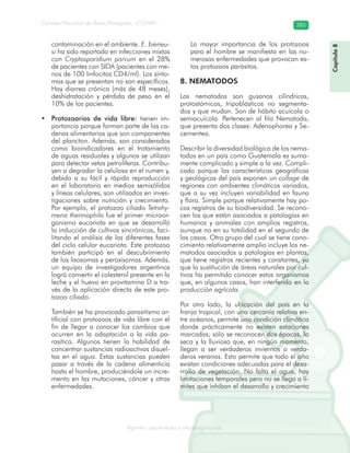 Consejo Nacional de Áreas Protegidas –CONAP– 383
Agentes subcelulares y microorganismosrooorganismos
contaminación en el ambiente. E. bieneu-
si ha sido reportado en infecciones mixtas
con Cryptosporidium parvum en el 28%
de pacientes con SIDA (pacientes con me-
nos de 100 linfocitos CD4/ml). Los sínto-
mas que se presentan no son específicos.
Hay diarrea crónica (más de 48 meses),
deshidratación y pérdida de peso en el
10% de los pacientes.
Protozoarios de vida libre:• tienen im-
portancia porque forman parte de las ca-
denas alimentarias que son componentes
del plancton. Además, son considerados
como bioindicadores en el tratamiento
de aguas residuales y algunos se utilizan
para detectar vetas petrolíferas. Contribu-
yen a degradar la celulosa en el rumen y,
debido a su fácil y rápida reproducción
en el laboratorio en medios semisólidos
y líneas celulares, son utilizados en inves-
tigaciones sobre nutrición y crecimiento.
Por ejemplo, el protozoo ciliado Tetrahy-
mena thermophila fue el primer microor-
ganismo eucariota en que se desarrolló
la inducción de cultivos sincrónicos, faci-
litando el análisis de las diferentes fases
del ciclo celular eucariota. Este protozoo
también participó en el descubrimiento
de los lisosomas y peroxisomas. Además,
un equipo de investigadores argentinos
logró convertir el colesterol presente en la
leche y el huevo en provitamina D a tra-
vés de la aplicación directa de este pro-
tozoo ciliado.
También se ha provocado parasitismo ar-
tificial con protozoos de vida libre con el
fin de llegar a conocer los cambios que
ocurren en la adaptación a la vida pa-
rasítica. Algunos tienen la habilidad de
concentrar sustancias radioactivas disuel-
tas en el agua. Estas sustancias pueden
pasar a través de la cadena alimenticia
hasta el hombre, produciéndole un incre-
mento en las mutaciones, cáncer y otras
enfermedades.
La mayor importancia de los protozoos
para el hombre se manifiesta en las nu-
merosas enfermedades que provocan es-
tos protozoos parásitos.
8. NEMATODOS
Los nematodos son gusanos cilíndricos,
protostómicos, tripoblásticos no segmenta-
dos y que mudan. Son de hábito acuícola o
semiacuícola. Pertenecen al filo Nematoda,
que presenta dos clases: Adenophorea y Se-
cernentea.
Describir la diversidad biológica de los nema-
todos en un país como Guatemala es suma-
mente complicado y simple a la vez. Compli-
cado porque las características geográficas
y geológicas del país exponen un collage de
regiones con ambientes climáticos variados,
que a su vez incluyen variabilidad en fauna
y flora. Simple porque relativamente hay po-
cos registros de su biodiversidad. Se recono-
cen los que están asociados a patologías en
humanos y animales con amplios registros,
aunque no en su totalidad en el segundo de
los casos. Otro grupo del cual se tiene cono-
cimiento relativamente amplio incluye los ne-
matodos asociados a patologías en plantas,
que tiene registros recientes y constantes, ya
que la sustitución de áreas naturales por cul-
tivos ha permitido conocer estos organismos
que, en algunos casos, han interferido en la
producción agrícola.
Por otro lado, la ubicación del país en la
franja tropical, con una cercanía relativa en-
tre océanos, permite una condición climática
donde prácticamente no existen estaciones
marcadas; sólo se reconocen dos épocas, la
seca y la lluviosa que, en ningún momento,
llegan a ser verdaderos inviernos o verda-
deros veranos. Esto permite que todo el año
existan condiciones adecuadas para el desa-
rrollo de vegetación. No falta el agua, hay
limitaciones temporales pero no se llega a lí-
mites que inhiban el desarrollo y crecimiento
Capítulo8
 