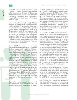 Consejo Nacional de Áreas Protegidas –CONAP–386386
Agentes subcelulares y microorganismosgenAg
sospechó que eran de la especie G. rosto-
chiensis. Honduras impuso una cuarentena
a las exportaciones de papa de Guatemala,
medida a la cual se unieron El Salvador y Ni-
caragua. A raíz de ello, se iniciaron monito-
reos en diferentes regiones del país donde se
produce papa.
Unos veinte años antes, García (1980) de-
terminó la presencia de las especies Glo-
bodera pallida, G. virginianae, Heterodera
sp. y Punctodera punctata; éste fue quizás el
primer registro oficial de dichas especies en
Guatemala. A partir de este caso, se reali-
zaron varios estudios de tesis de grado de
la FAUSAC en diferentes zonas productoras
de papa. El primero de ellos, realizado por
Salguero (2003) en Patzicía, Chimaltenango,
concluye que los géneros detectados en la
zona son Punctodera, Cactodera, Heterode-
ra, Globodera y Afenestrata.
Blanco (2004) elaboró el primer reporte so-
bre la presencia de G. pallida en Guatemala.
Se llevó a cabo en la región de Palencia y
concluyó que, además de G. pallida, también
están presentes los géneros de la subfamilia
Heteroderinae: Heterodera sp., Cactodera
sp. y Punctodera sp. De manera paralela, se
hizo otro estudio en San José Pinula (Ramírez,
2004). Éste concluye que Heterodera, Cacto-
dera y Punctodera están presentes en el área.
Orellana (2004) reporta en la zona de Sala-
má, Baja Verapaz, la presencia de Heterode-
ra, Cactodera y Punctodera. Roldán (2005)
reporta, para la zona de Jalapa, como pre-
sentes en las áreas de cultivo de papa (Sola-
num tuberosum L.) Cactodera, Globodera y
Punctodera. Colo (2006), en los municipios
de Tecpán, Guatemala, San José Poaquil y
Santa Apolonia (Chimaltenango), reporta la
presencia de Cactodera, Punctodera y Hete-
rodera.
Durante los monitoreos y estudios para verifi-
car la presencia de G. rostochiensis en Gua-
temala, se confirma plenamente la presen-
cia de G. pallida y G. rostochiensis a partir
de la utilización de técnicas de morfometría
y análisis molecular de PCR en los trabajos
efectuados en la región de Palencia y Con-
cepción Chiquirichapa, Quetzaltenango11
.
Como producto de dichos estudios, también
se describe la presencia de otras especies. Se
han registrado hasta la fecha otras especies
de Globodera que aún no han podido ser
plenamente determinadas; además, se re-
portan los géneros Heterodera, Punctodera y
Cactodera frecuentemente en las áreas don-
de se produce papa.
En noviembre de 2005, los servicios de cua-
rentena de los Estados Unidos detectaron una
nueva especie de nematodo de quiste para
Guatemala, Afenestrata orientalis, la cual
está asociada a ornamentales de la familia
Poaceae, Miscanthus sinensis ‘Variegatus’ y
Pennisetum setaceum ‘Rubrum’. Sobre esta
especie, a raíz de la detección en embarques
de ornamentales, se realizó un muestreo den-
tro de una plantación en la zona de Palen-
cia, Guatemala, el cual confirmó su presen-
cia. Previamente, Salguero (2003) la reportó
en la zona de Patzicía. A partir de allí no se
han realizado estudios sobre esta especie.
Es tema importante su estudio y la determi-
nación de su distribución y su relación con
cultivos de importancia para el país. En las
figuras 19-24 se muestran las características
de los quistes de los géneros detectados por
los diferentes trabajos de investigación.
Si hiciéramos una paráfrasis de “los más
buscados”, los géneros más encontrados en
Guatemala, tanto en cultivos tradicionales
como en no tradicionales, han sido determi-
nados a través de más de 15 años de estudio
de muestras por la Facultad de Agronomía
de la USAC. Se mencionan a continuación.
Meloidogyne spp., nematodos endopará-
sitos sedentarios, son los más comúnmente
detectados en la mayoría de muestras de
suelo procedentes de diferentes regiones y
Capítulo8
 
