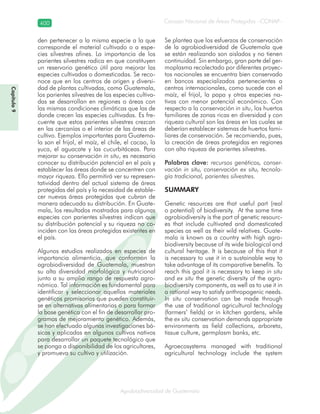 Consejo Nacional de Áreas Protegidas –CONAP–400
Agrobiodiversidad de Guatemala
den pertenecer a la misma especie a la que
corresponde el material cultivado o a espe-
cies silvestres afines. La importancia de los
parientes silvestres radica en que constituyen
un reservorio genético útil para mejorar las
especies cultivadas o domesticadas. Se reco-
noce que en los centros de origen y diversi-
dad de plantas cultivadas, como Guatemala,
los parientes silvestres de las especies cultiva-
das se desarrollan en regiones o áreas con
las mismas condiciones climáticas que las de
donde crecen las especies cultivadas. Es fre-
cuente que estos parientes silvestres crezcan
en las cercanías o el interior de las áreas de
cultivo. Ejemplos importantes para Guatema-
la son el frijol, el maíz, el chile, el cacao, la
yuca, el aguacate y las cucurbitáceas. Para
mejorar su conservación in situ, es necesario
conocer su distribución potencial en el país y
establecer las áreas donde se concentren con
mayor riqueza. Ello permitirá ver su represen-
tatividad dentro del actual sistema de áreas
protegidas del país y la necesidad de estable-
cer nuevas áreas protegidas que cubran de
manera adecuada su distribución. En Guate-
mala, los resultados mostrados para algunas
especies con parientes silvestres indican que
su distribución potencial y su riqueza no co-
inciden con las áreas protegidas existentes en
el país.
Algunos estudios realizados en especies de
importancia alimenticia, que conforman la
agrobiodiversidad de Guatemala, muestran
su alta diversidad morfológica y nutricional
junto a su amplio rango de respuesta agro-
nómica. Tal información es fundamental para
identificar y seleccionar aquellos materiales
genéticos promisorios que pueden constituir-
se en alternativas alimentarias o para formar
la base genética con el fin de desarrollar pro-
gramas de mejoramiento genético. Además,
se han efectuado algunas investigaciones bá-
sicas y aplicadas en algunos cultivos nativos
para desarrollar un paquete tecnológico que
se ponga a disponibilidad de los agricultores,
y promueva su cultivo y utilización.
Se plantea que los esfuerzos de conservación
de la agrobiodiversidad de Guatemala que
se están realizando son aislados y no tienen
continuidad. Sin embargo, gran parte del ger-
moplasma recolectado por diferentes proyec-
tos nacionales se encuentra bien conservado
en bancos especializados pertenecientes a
centros internacionales, como sucede con el
maíz, el frijol, la papa y otras especies na-
tivas con menor potencial económico. Con
respecto a la conservación in situ, los huertos
familiares de zonas ricas en diversidad y con
riqueza cultural son las áreas en las cuales se
deberían establecer sistemas de huertos fami-
liares de conservación. Se recomienda, pues,
la creación de áreas protegidas en regiones
con alta riqueza de parientes silvestres.
Palabras clave: recursos genéticos, conser-
vación in situ, conservación ex situ, tecnolo-
gía tradicional, parientes silvestres.
SUMMARY
Genetic resources are that useful part (real
o potential) of biodiversity. At the same time
agrobiodiversity is the part of genetic resourc-
es that include cultivated and domesticated
species as well as their wild relatives. Guate-
mala is known as a country with high agro-
biodiversity because of its wide biological and
cultural heritage. It is because of this that it
is necessary to use it in a sustainable way to
take advantage of its comparative benefits. To
reach this goal it is necessary to keep in situ
and ex situ the genetic diversity of the agro-
biodiversity components, as well as to use it in
a rational way to satisfy anthropogenic needs.
In situ conservation can be made through
the use of traditional agricultural technology
(farmers’ fields) or in kitchen gardens, while
the ex situ conservation demands appropriate
environments as field collections, arboreta,
tissue culture, germplasm banks, etc.
Agroecosystems managed with traditional
agricultural technology include the system
Capítulo9
 