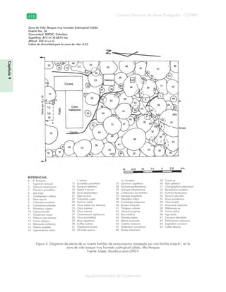 Guatemala y su Biodiversidad