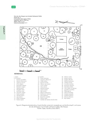 Guatemala y su Biodiversidad