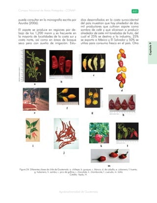 Guatemala y su Biodiversidad