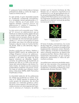 Guatemala y su Biodiversidad