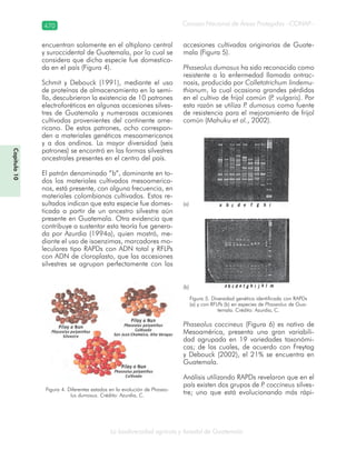 Guatemala y su Biodiversidad