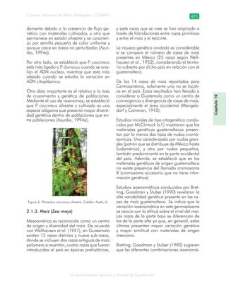 Guatemala y su Biodiversidad