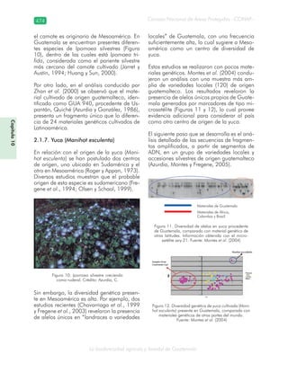 Guatemala y su Biodiversidad