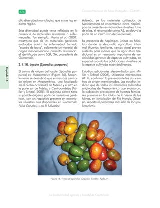 Guatemala y su Biodiversidad